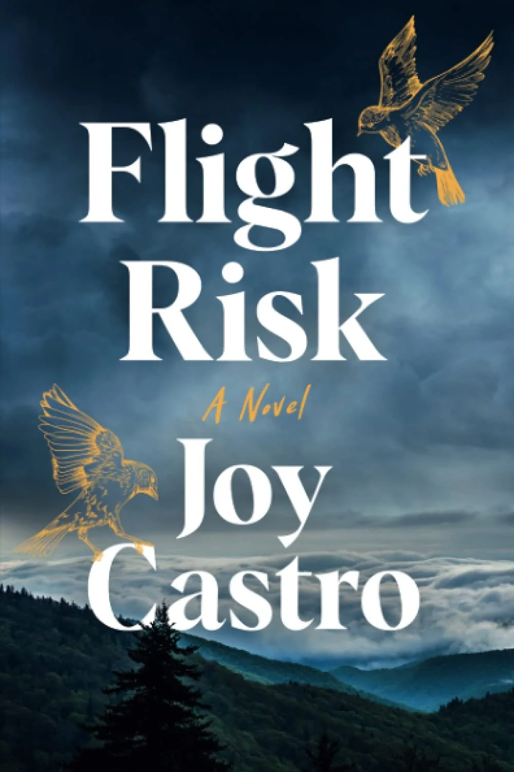 Flight Risk