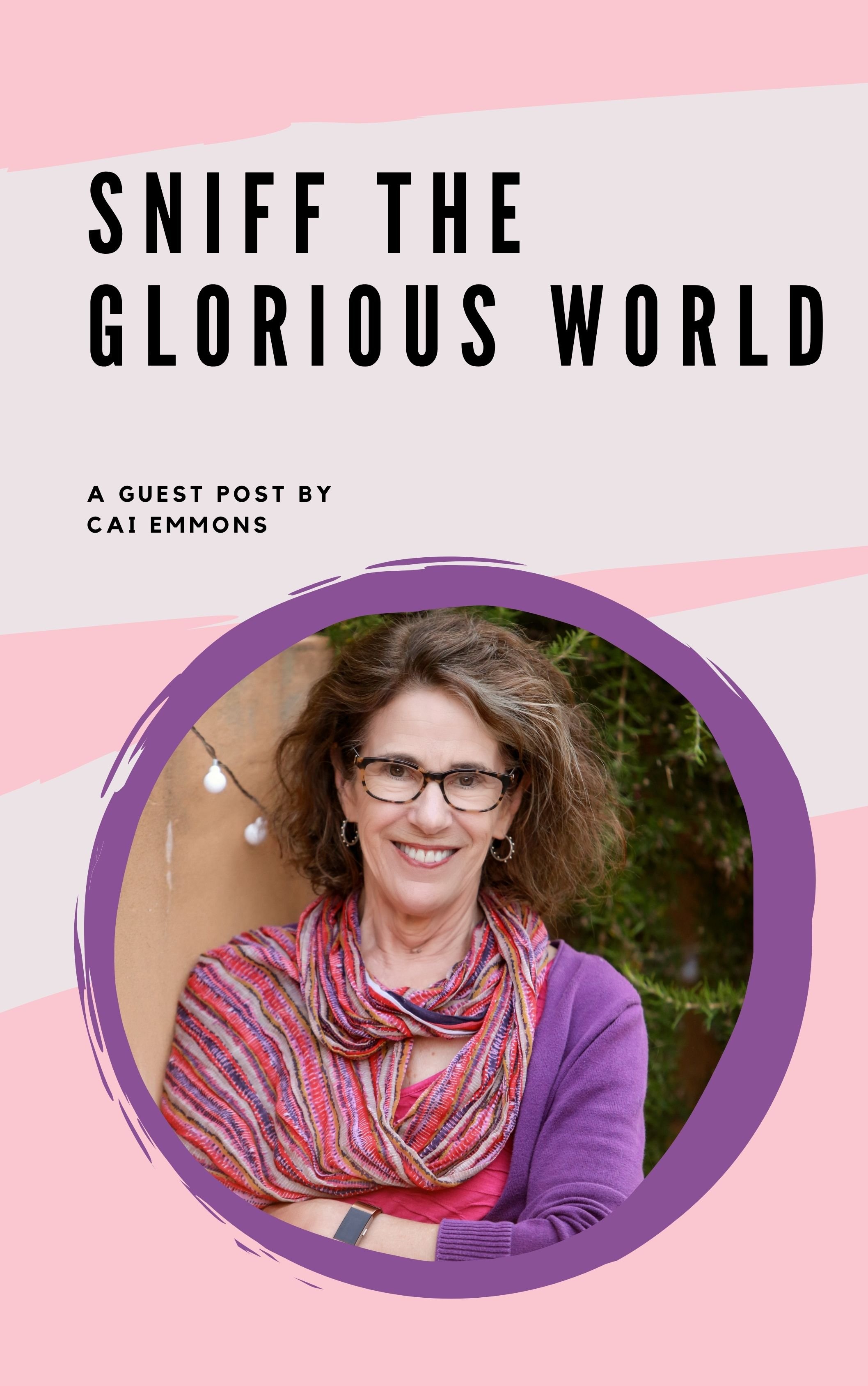 The Habit of Writing: A Guest Post by Cai Emmons