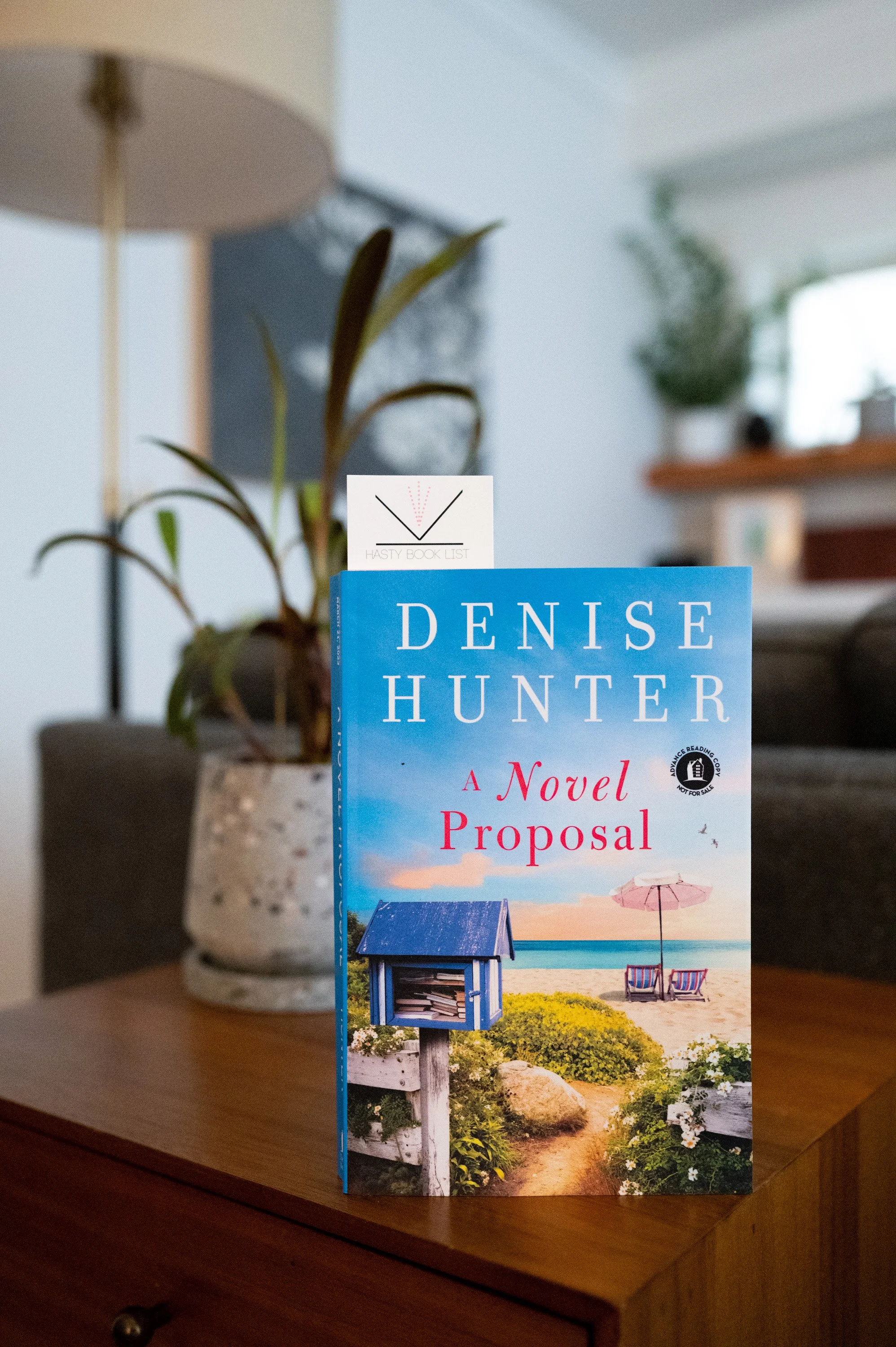 A Novel Proposal by Denise Hunter.jpg