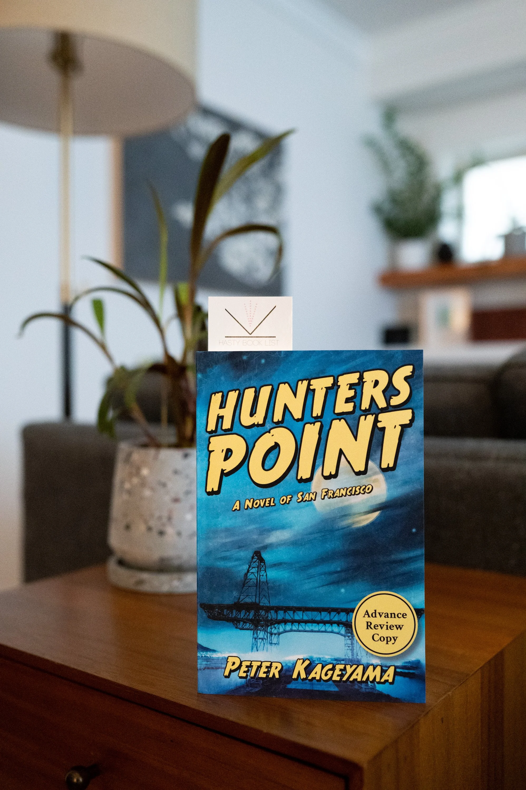 Hunters Point by Peter Kageyama.jpg