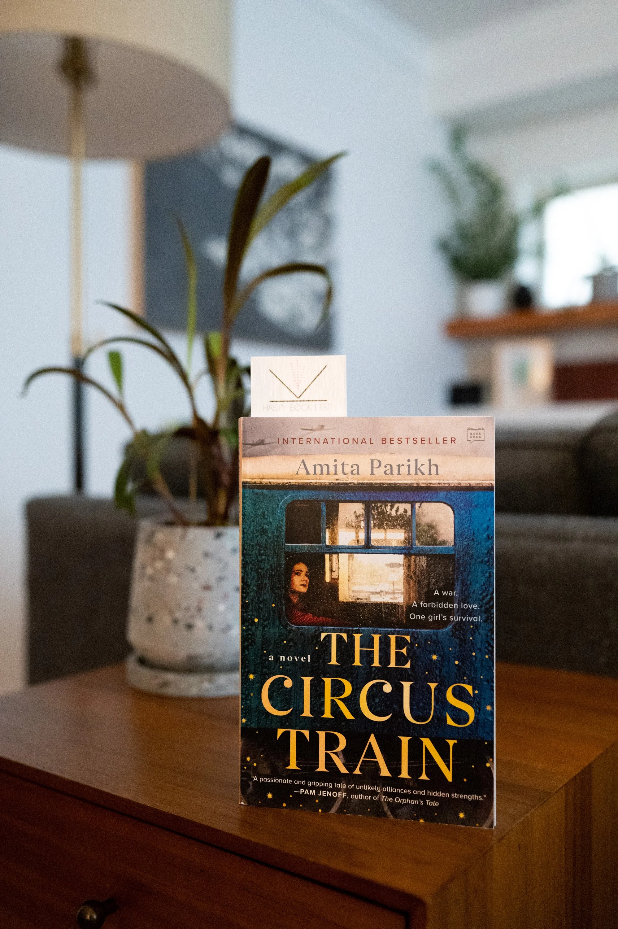 The Circus Train by Amita Parikh.jpg