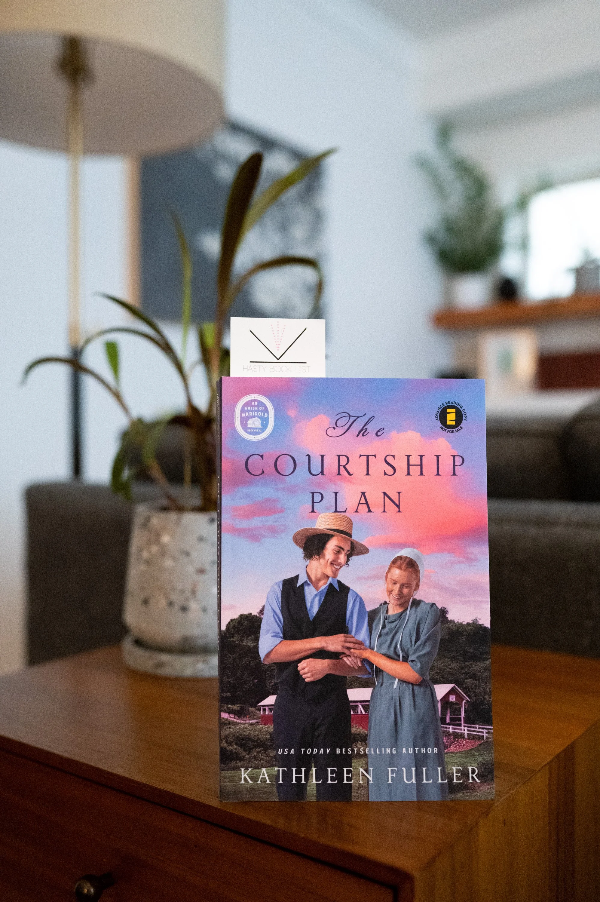 The Courtship Plan by Kathleen Fuller.jpg