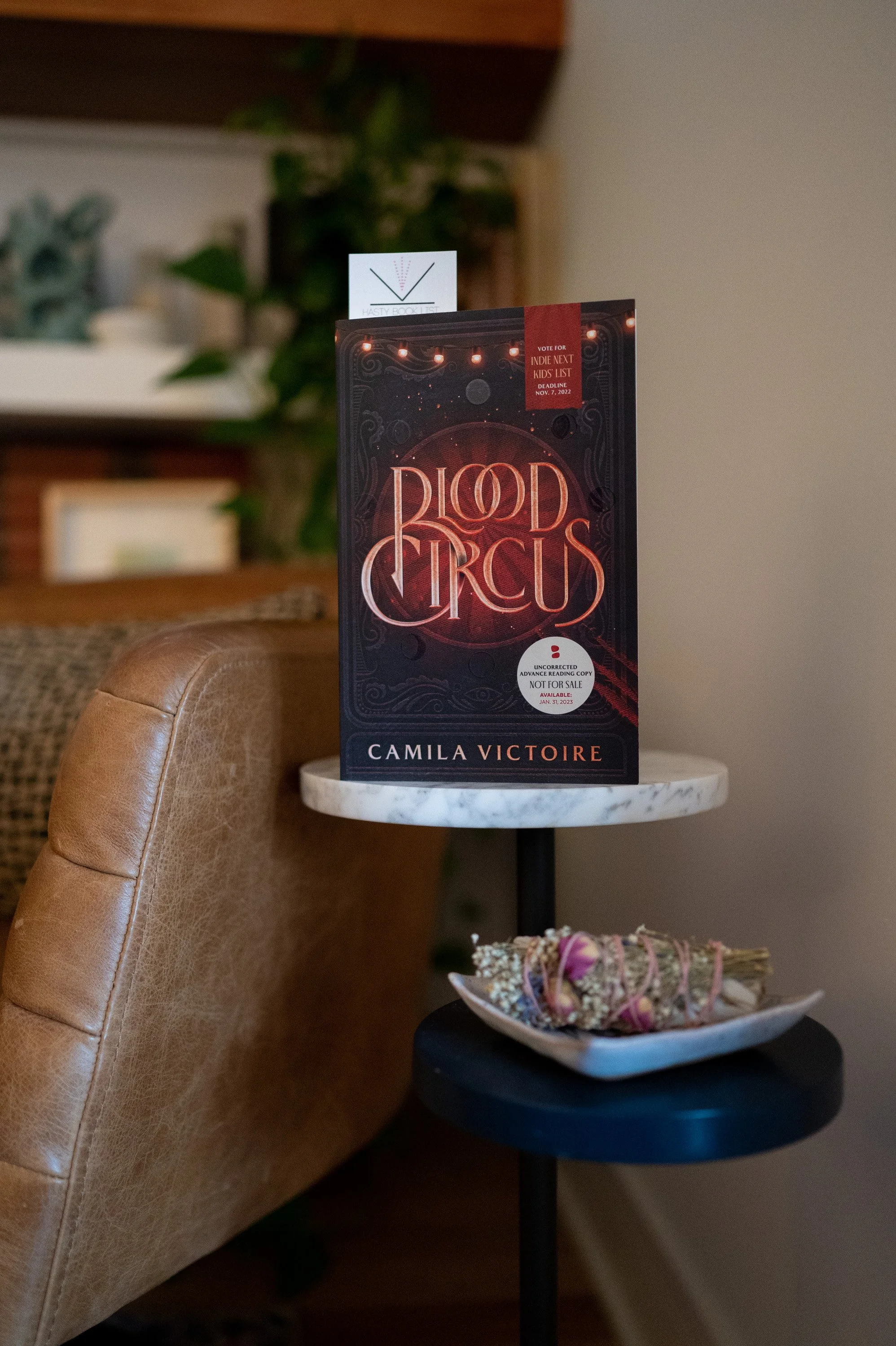 Blood Circus by Camila Victoire.jpg
