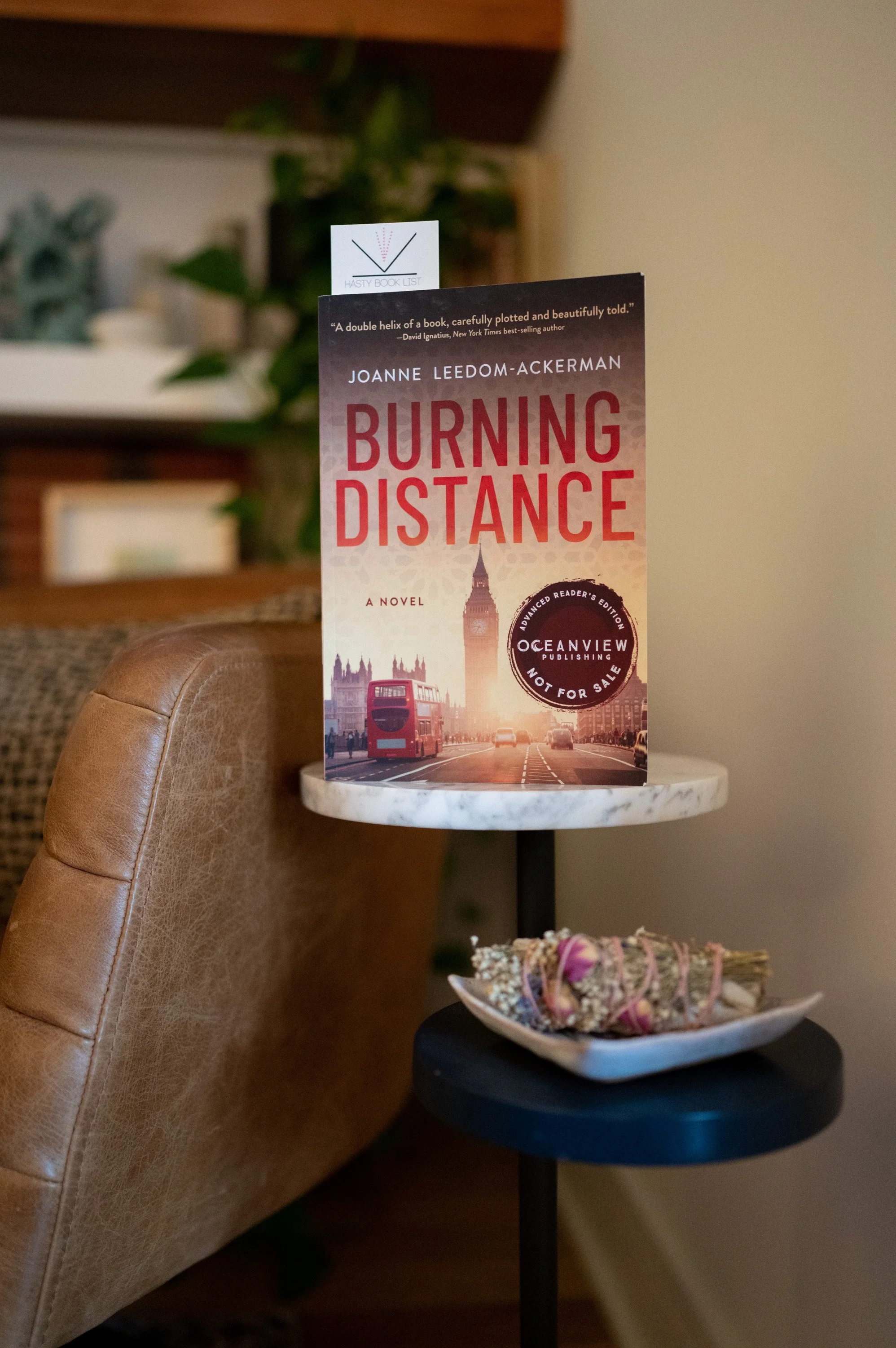 Burning Distance by Joanne Leedom-Ackerman.jpg