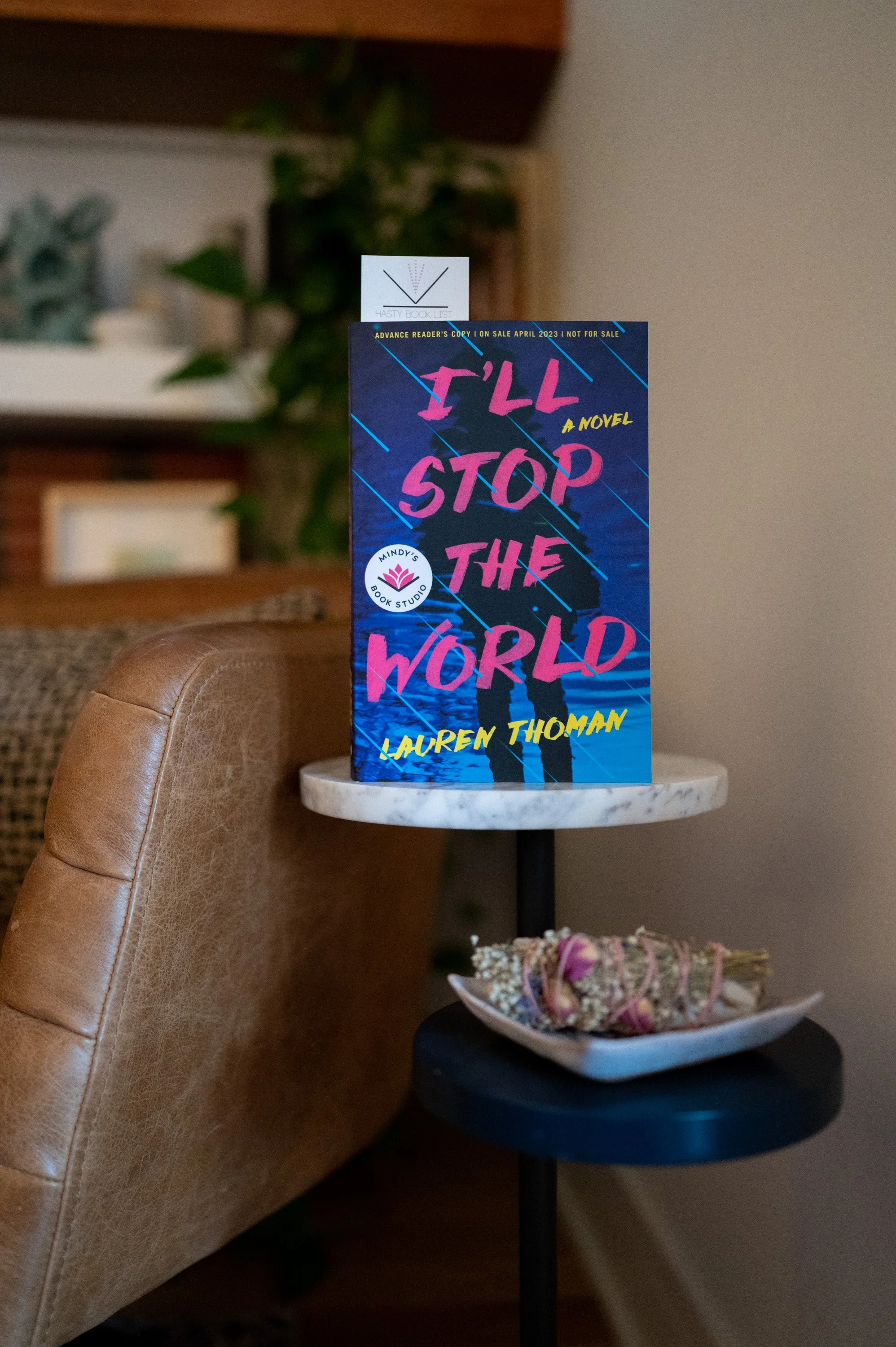 I'll Stop the World by Lauren Thoman.jpg