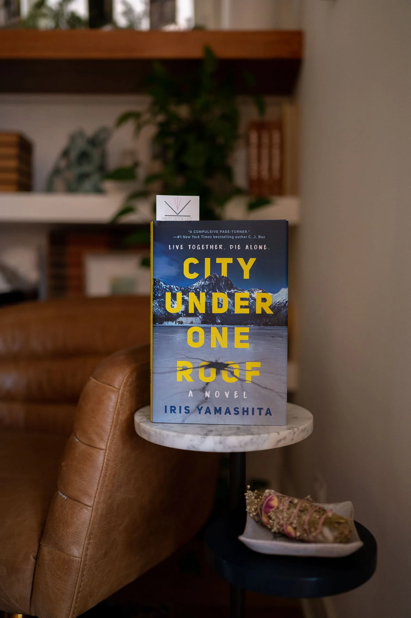 City Under One Roof by Iris Yamashita.jpg