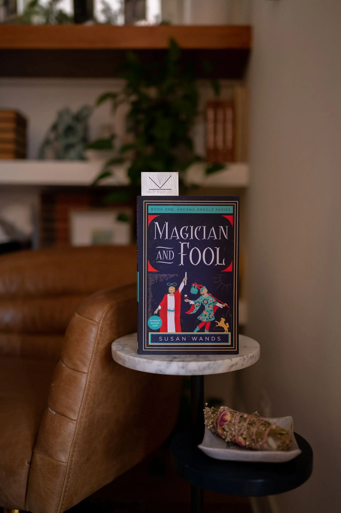 Magician and Fool by Susan Wands.jpg