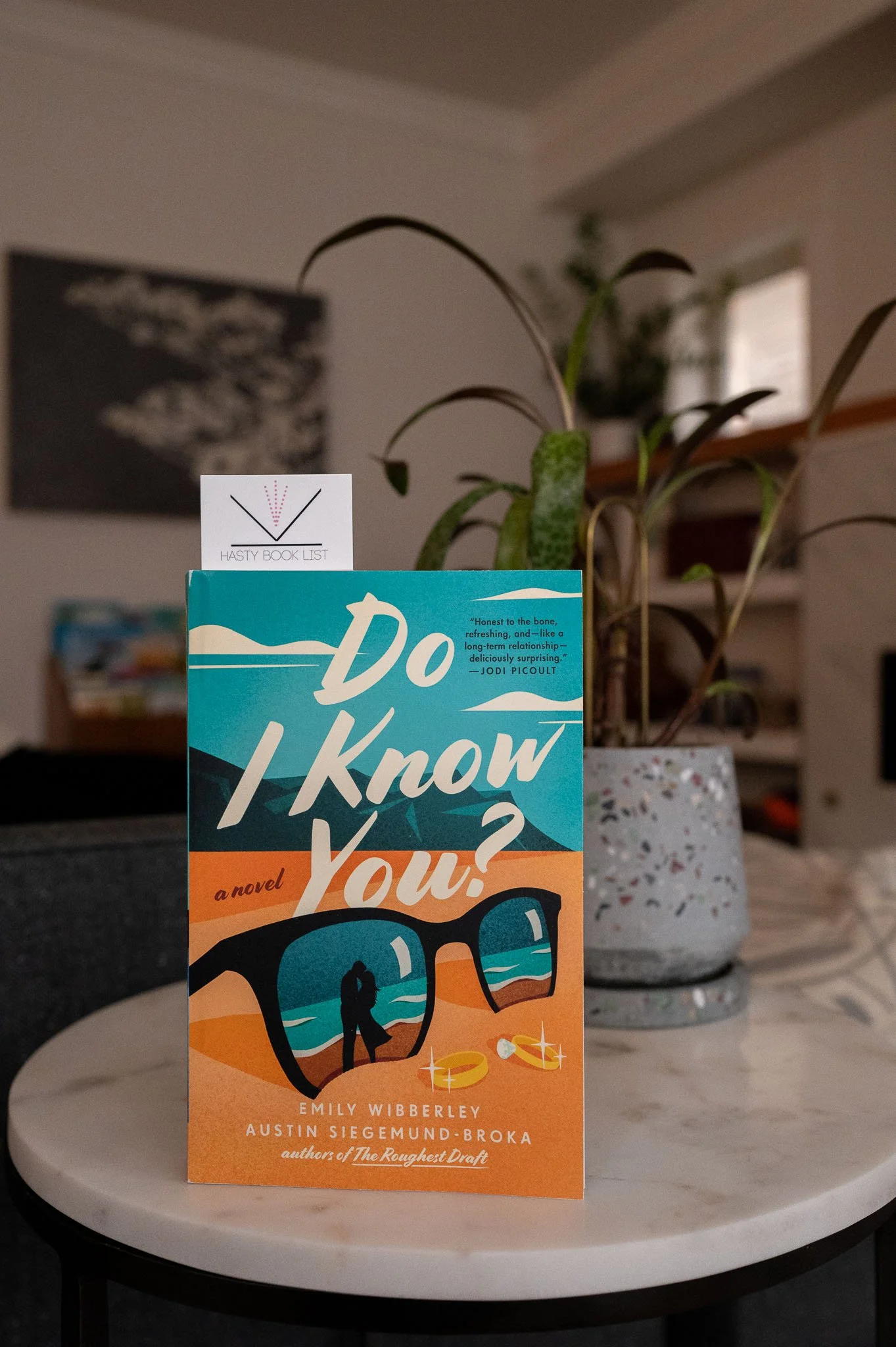 Do I Know You_ by Emily Wibberley and Austin Siegemund-broka.jpg