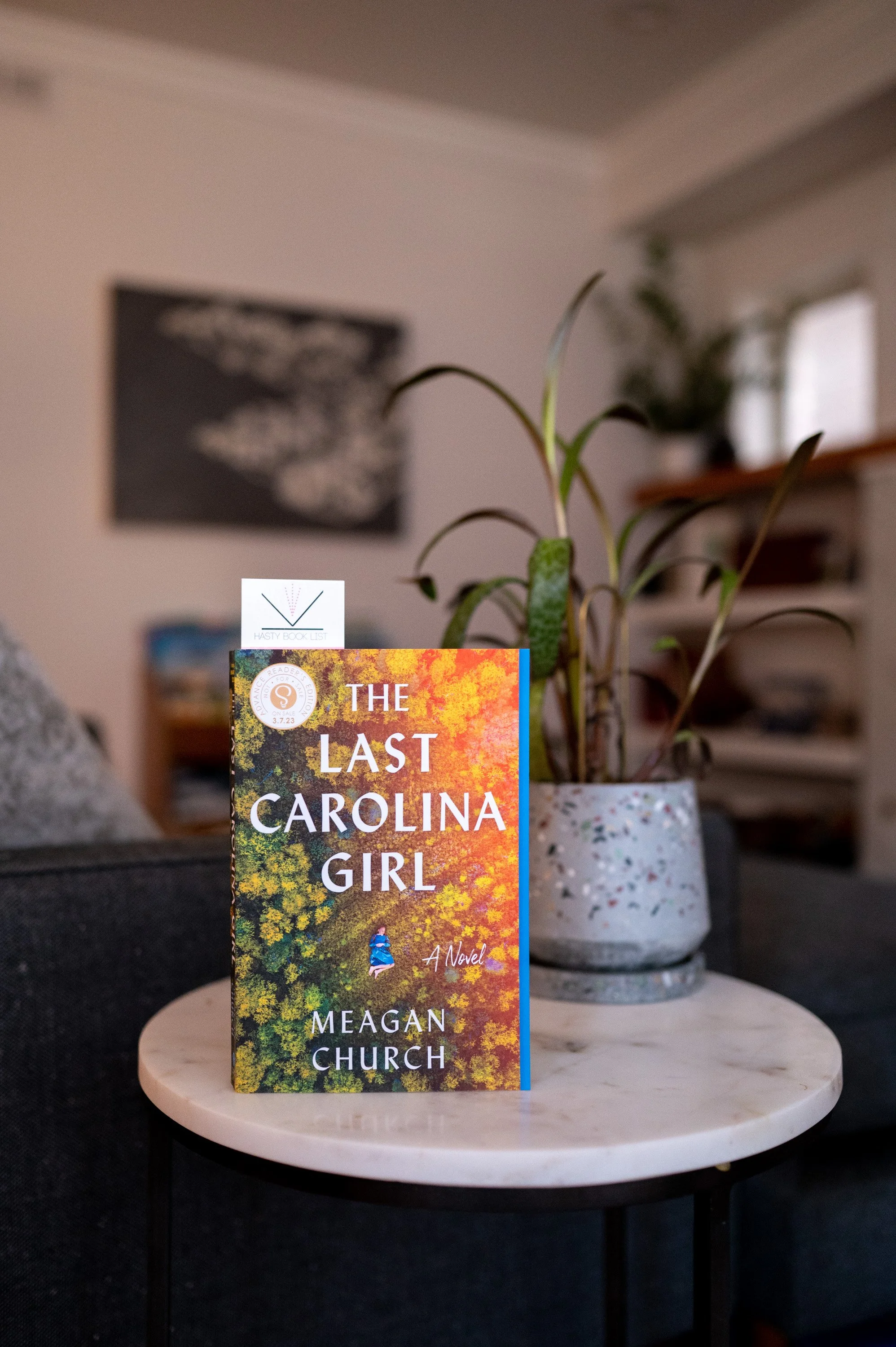 The Last Carolina Girl by Meagan Church.jpg