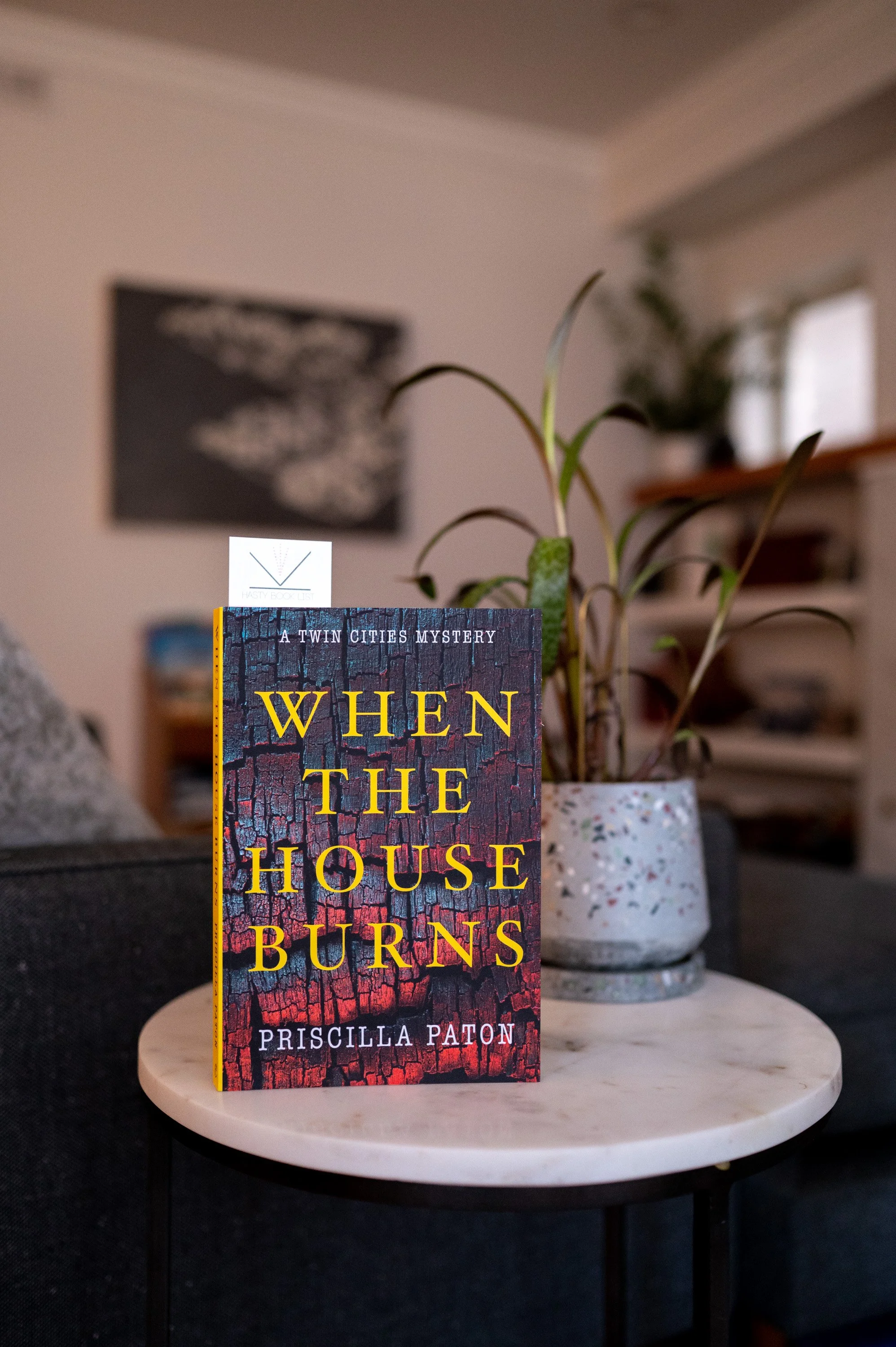 When the House Burns by Priscilla Paton.jpg