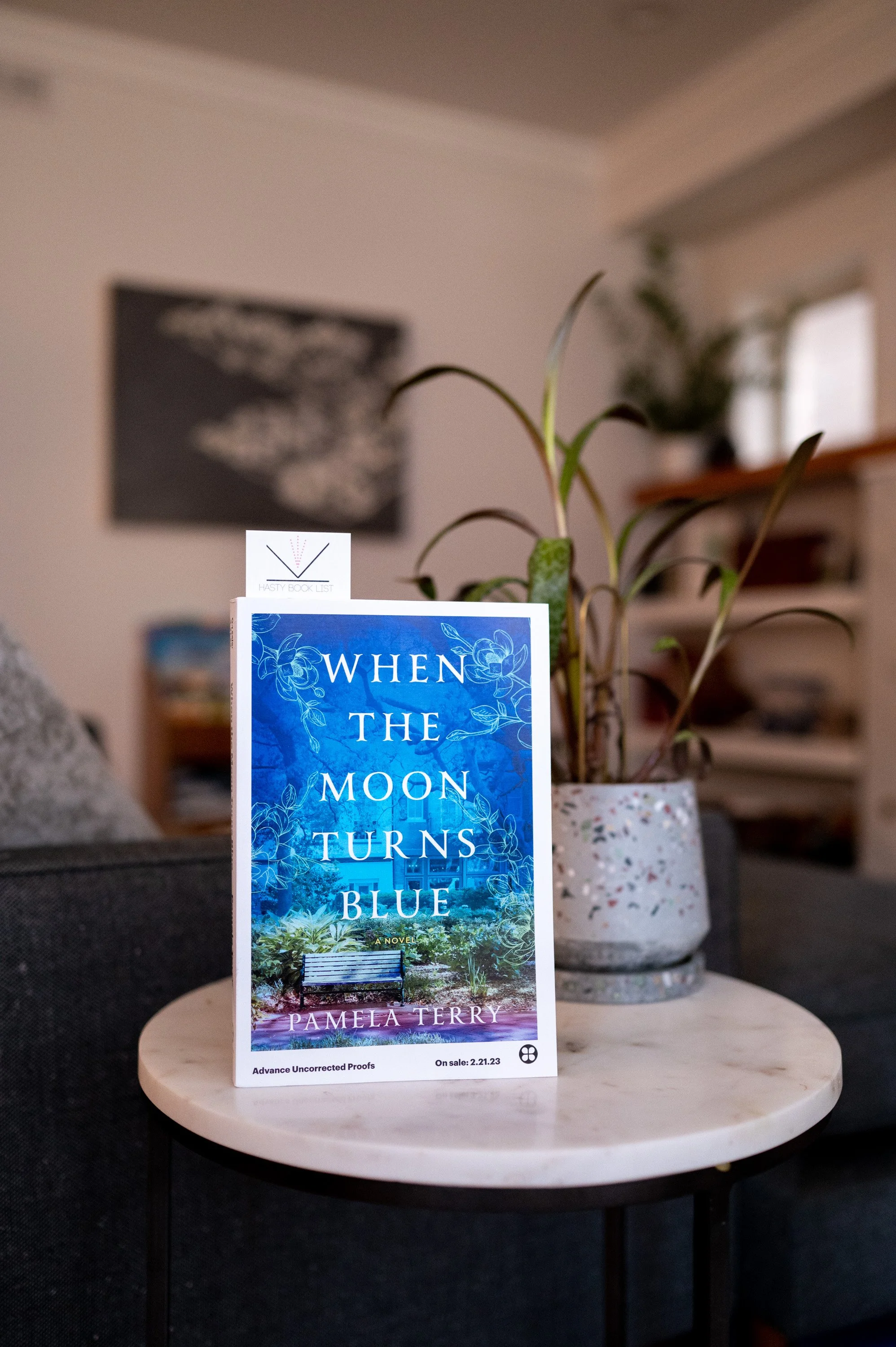 When the Moon Turns Blue by Pamela Terry.jpg