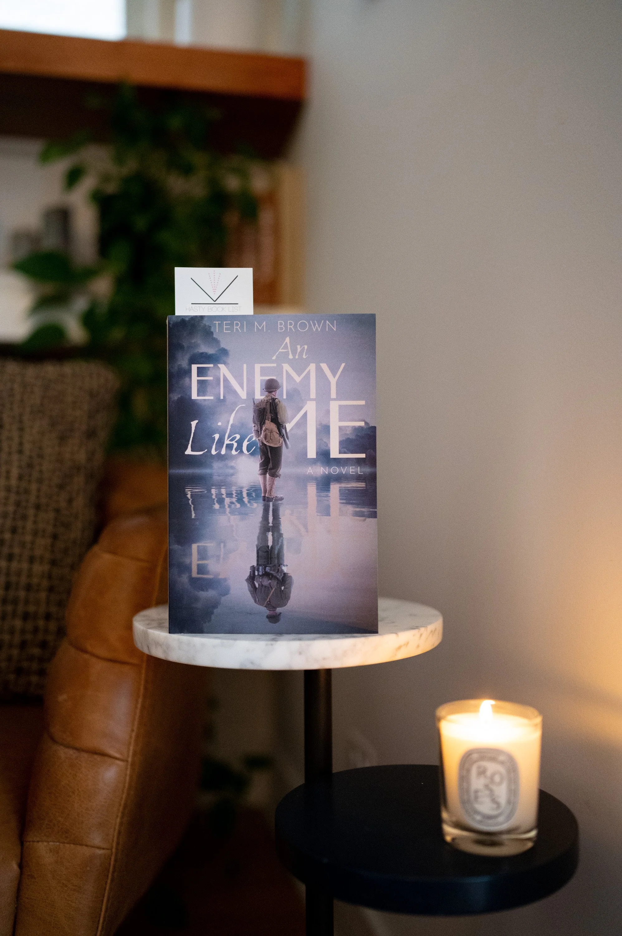 An Enemy Like Me by Teri M. Brown.jpg