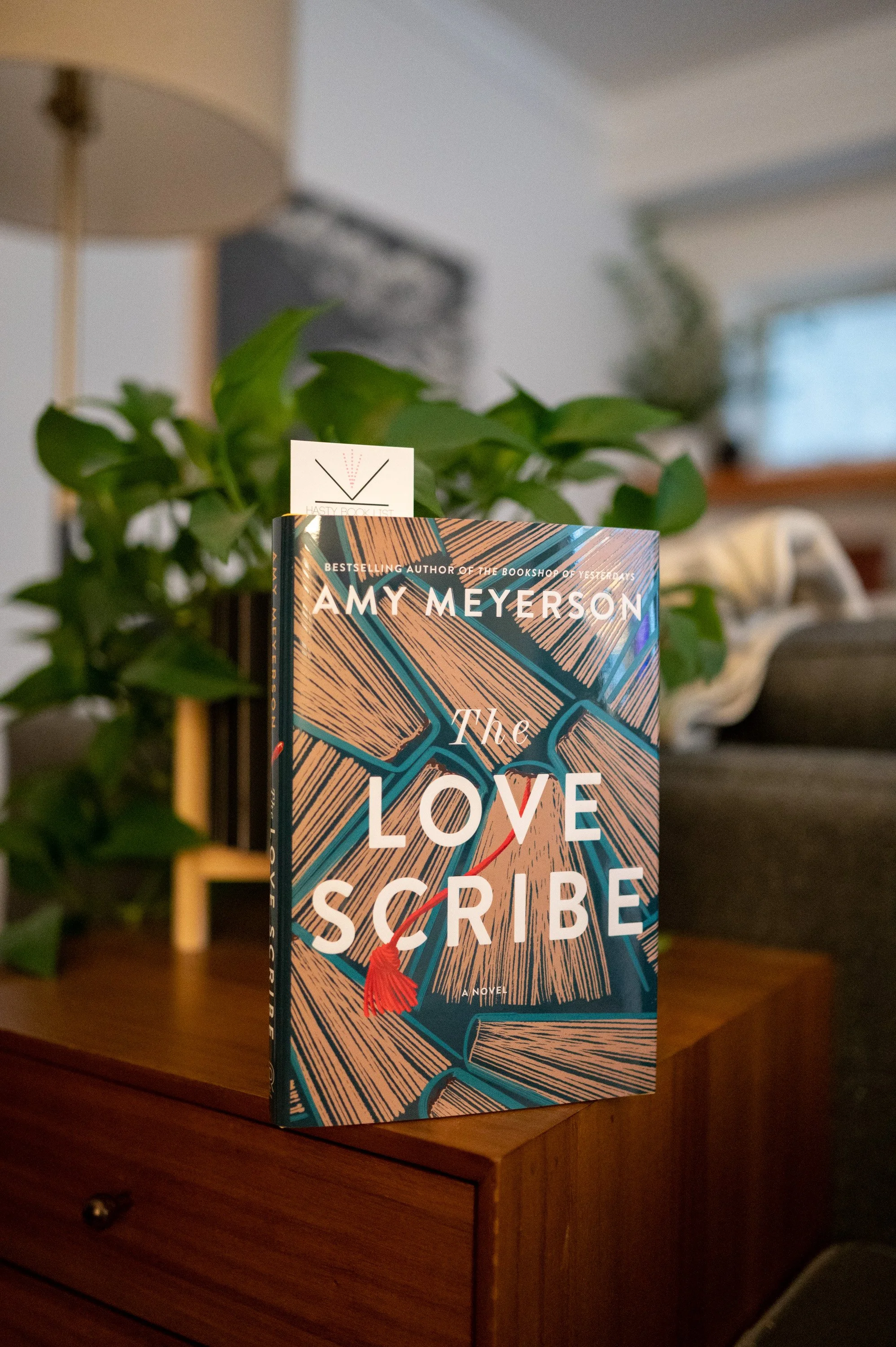The Love Scribe by Amy Meyerson.jpg