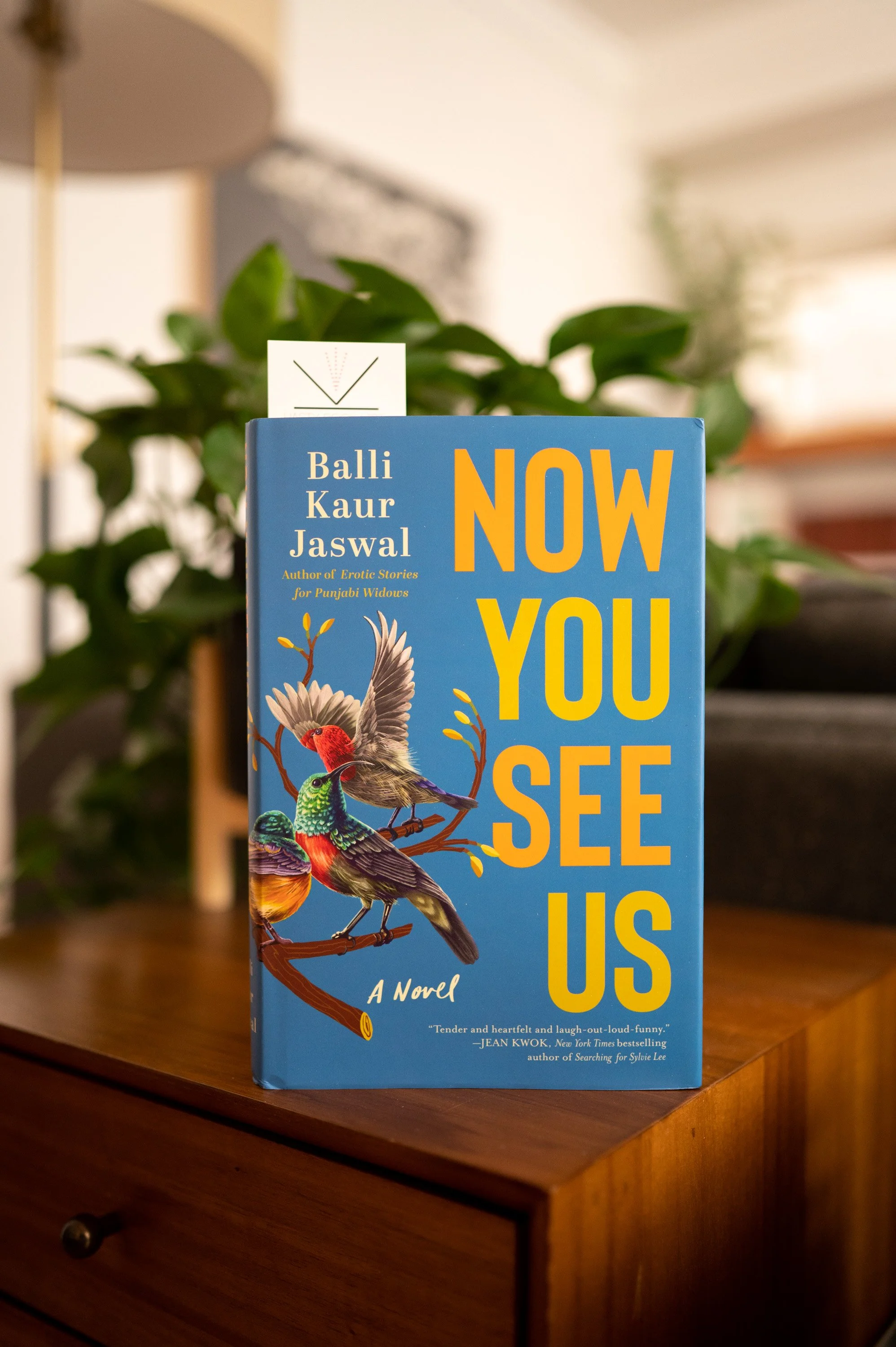 Now You See Us by Balli Kaur.jpg