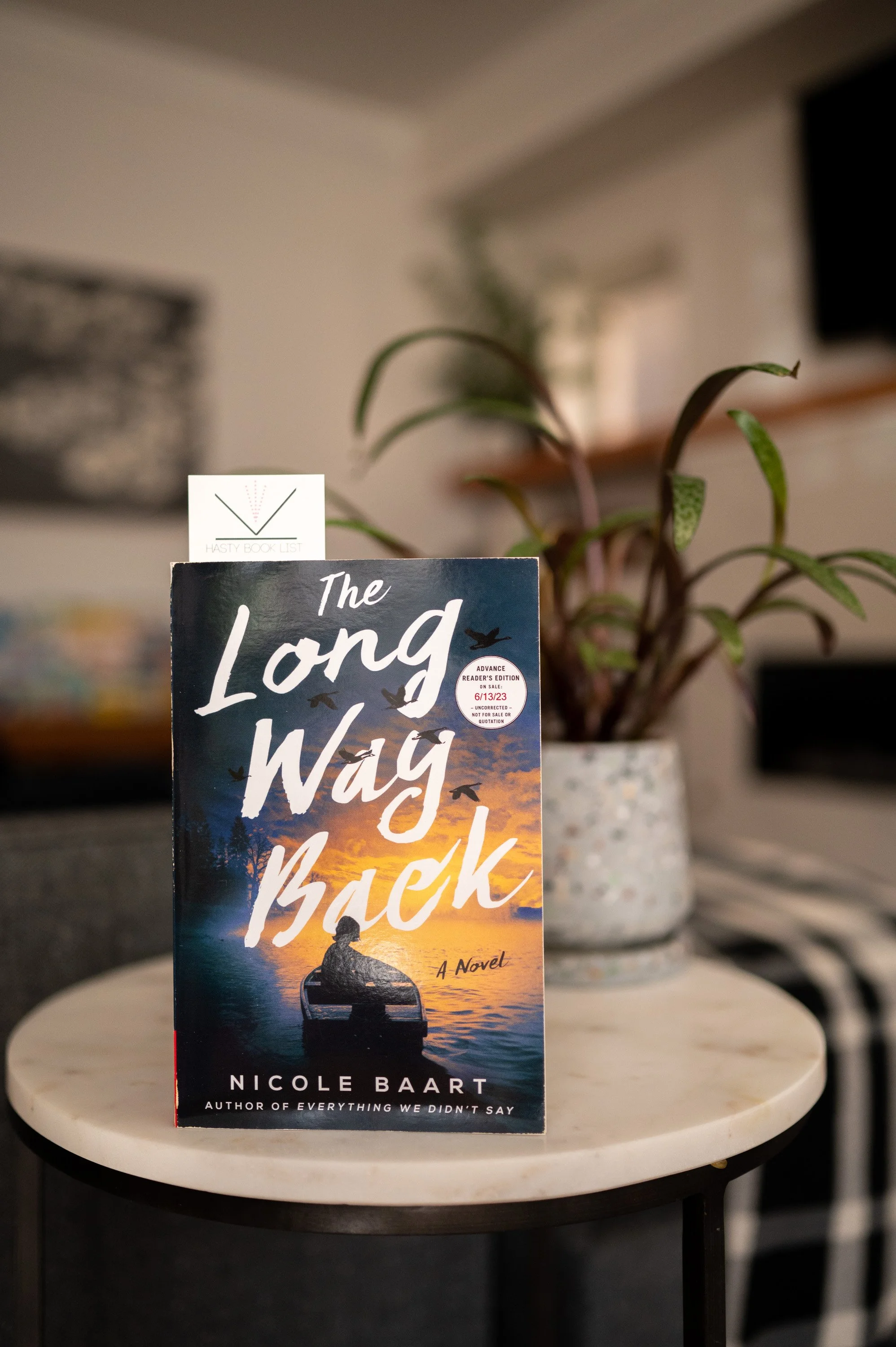 The Long Way Back by Nicold Baart.jpg