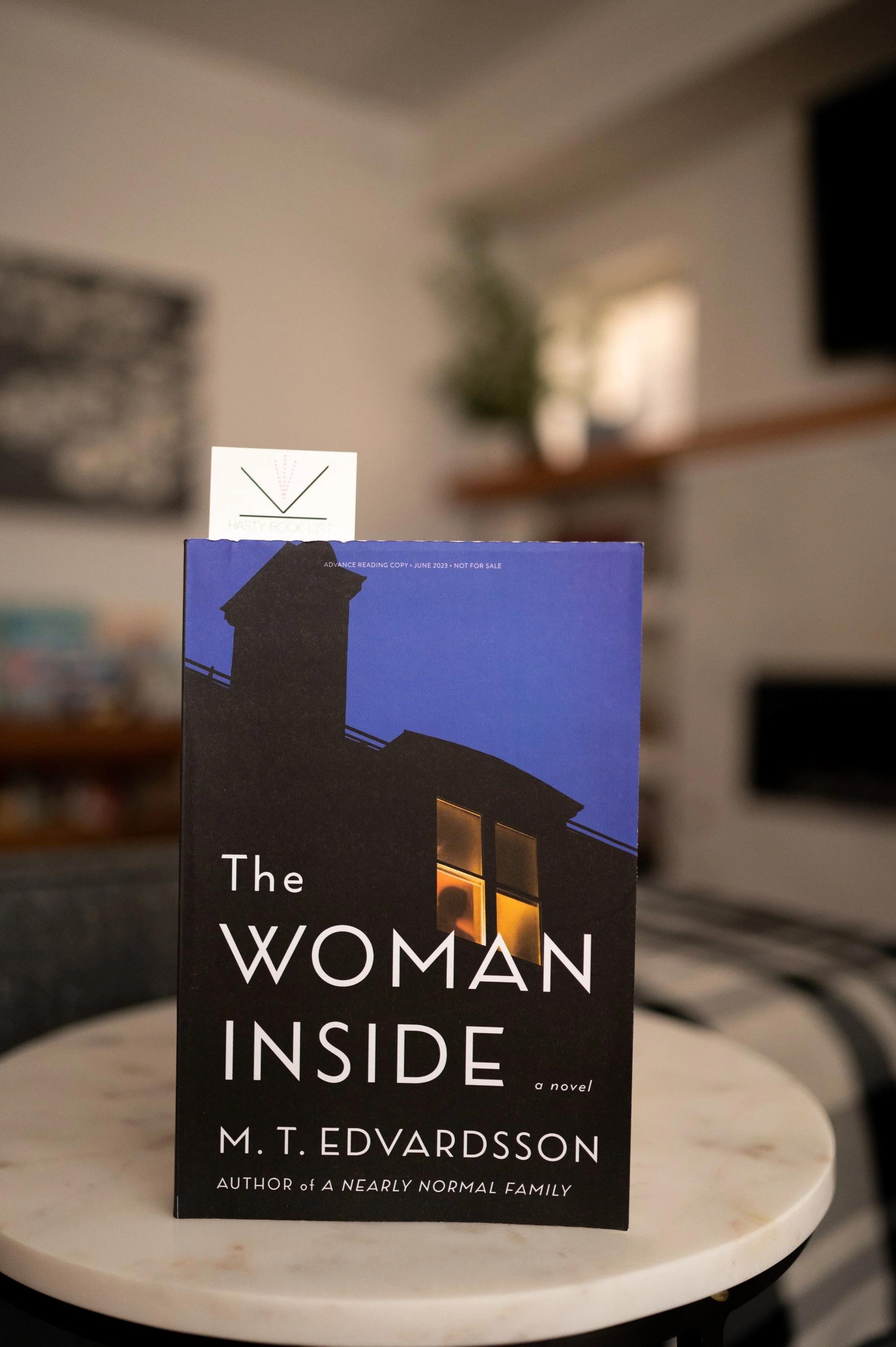 The Woman Inside by M.T. Edvardsson.jpg