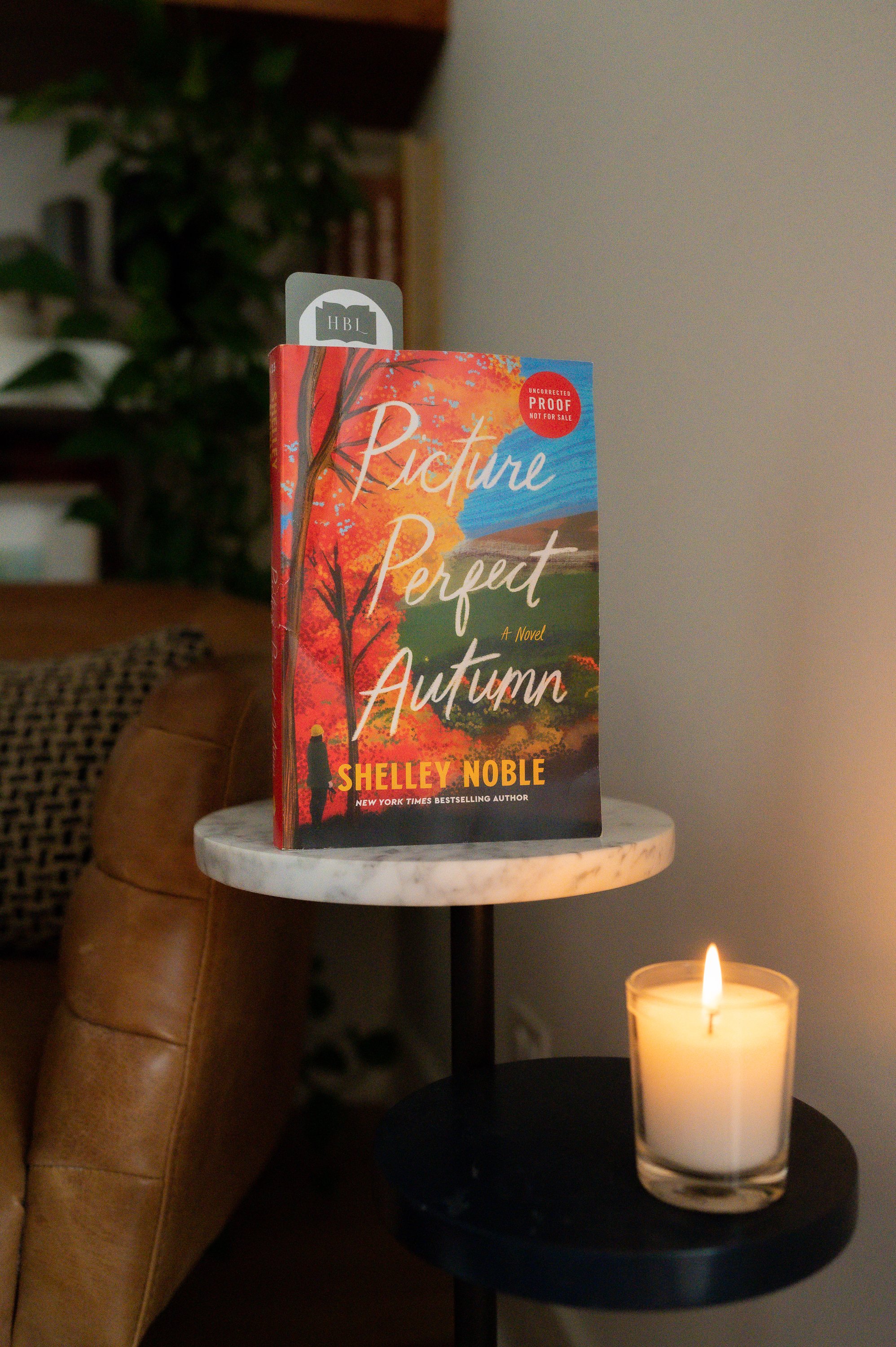 Picture Perfect Autumn by Shelley Noble.jpg