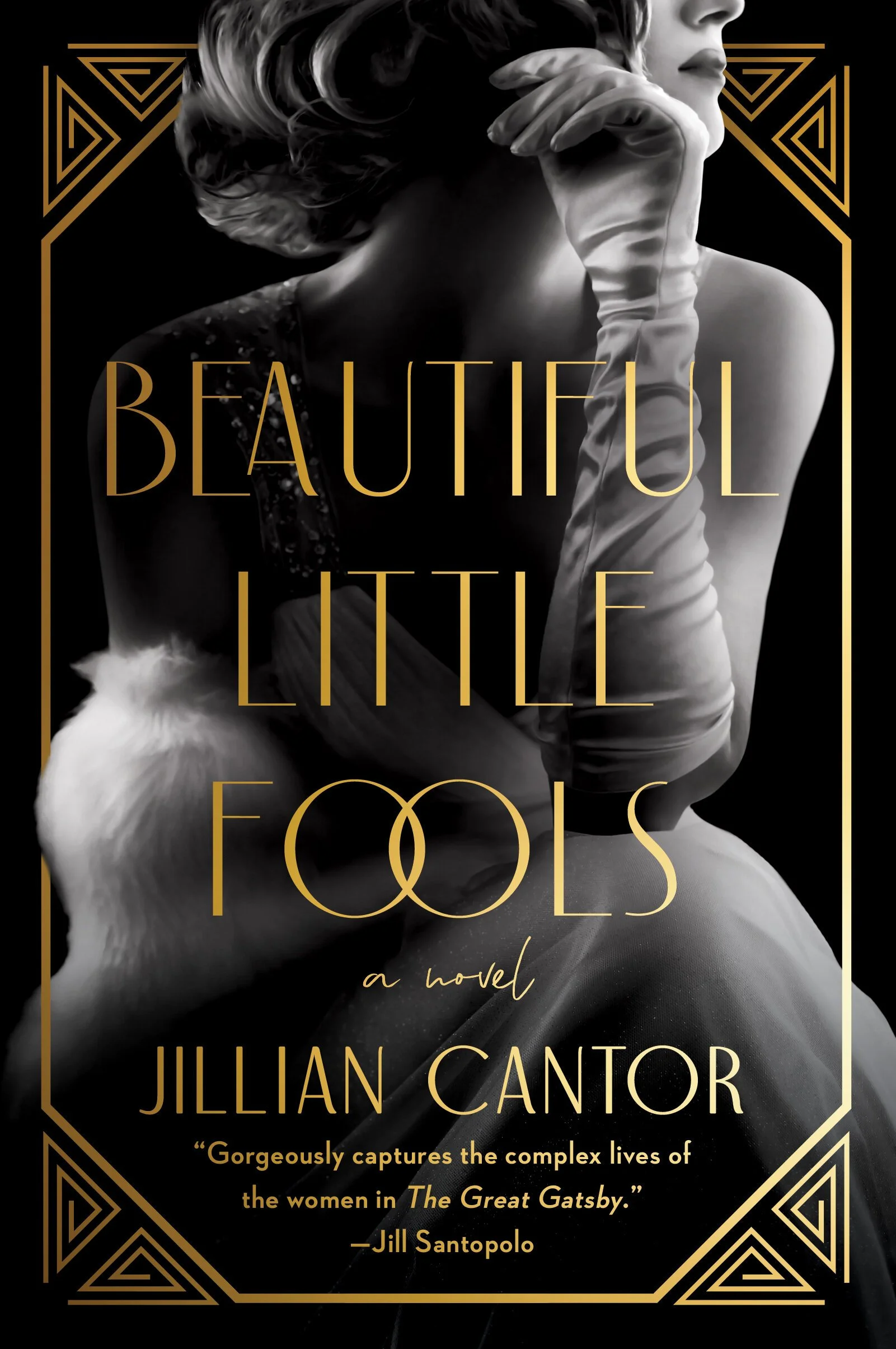beautiful fools by jillian cantor.jpeg