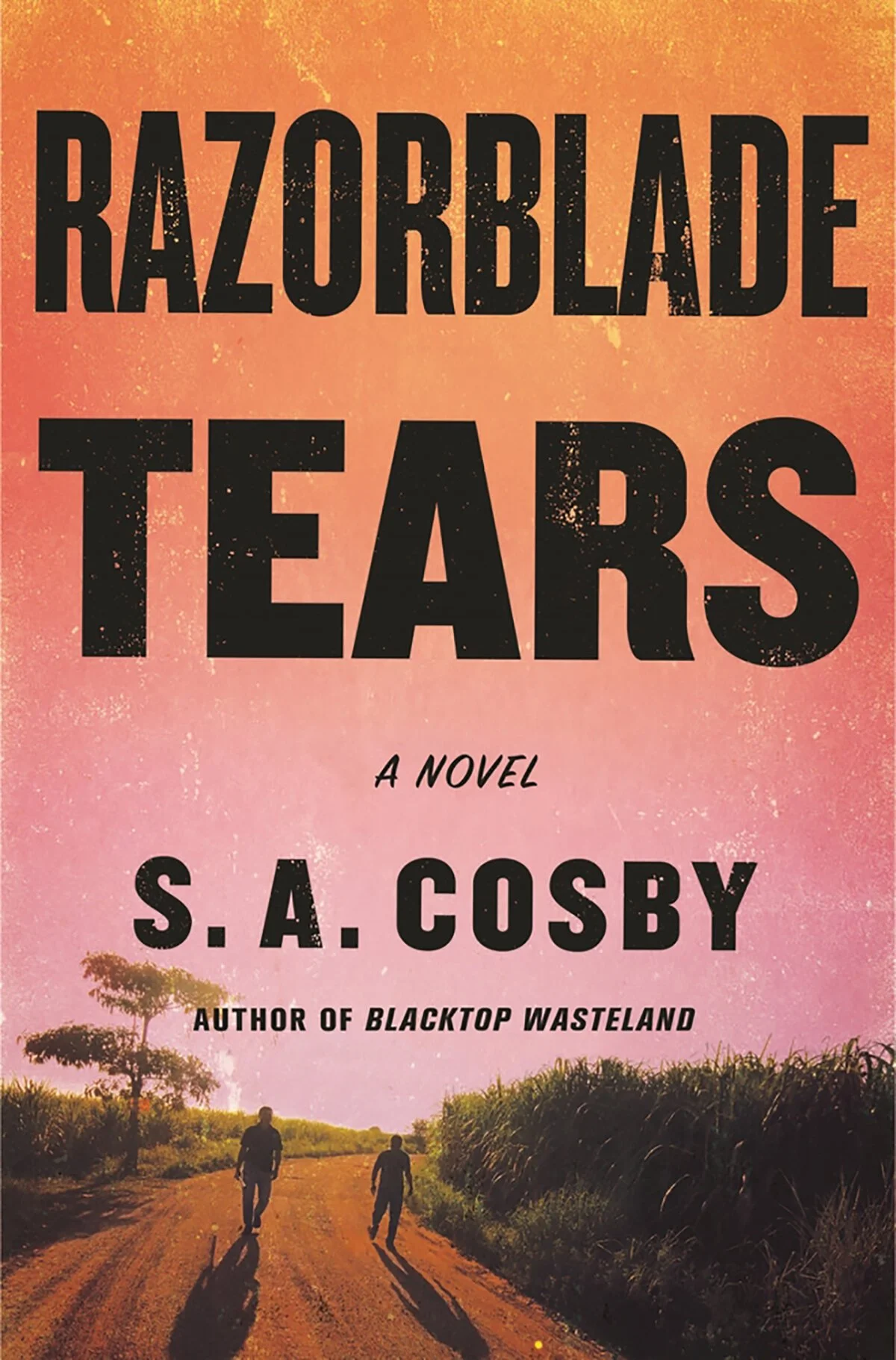 Razorblade Tears by S.A. Cosby.jpeg