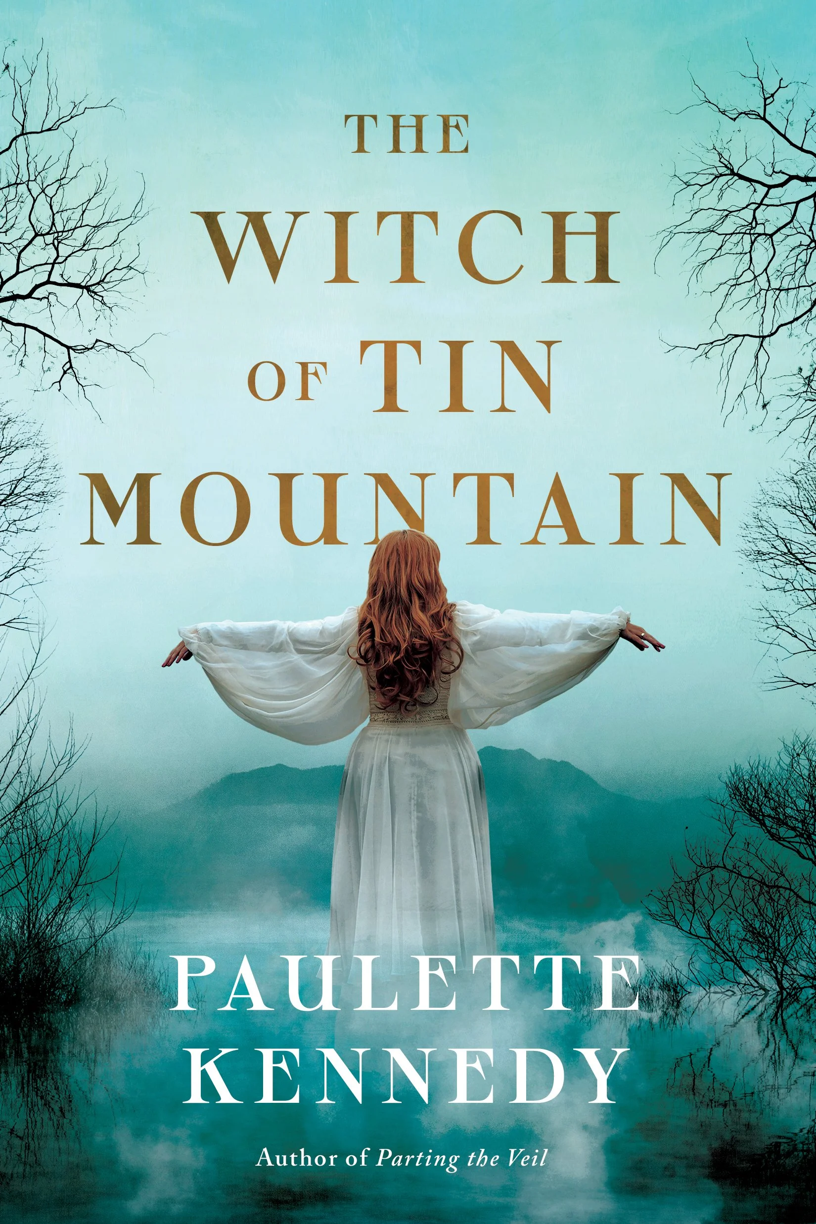 The Witch of Tin Mountain by Paulette Kennedy.jpeg