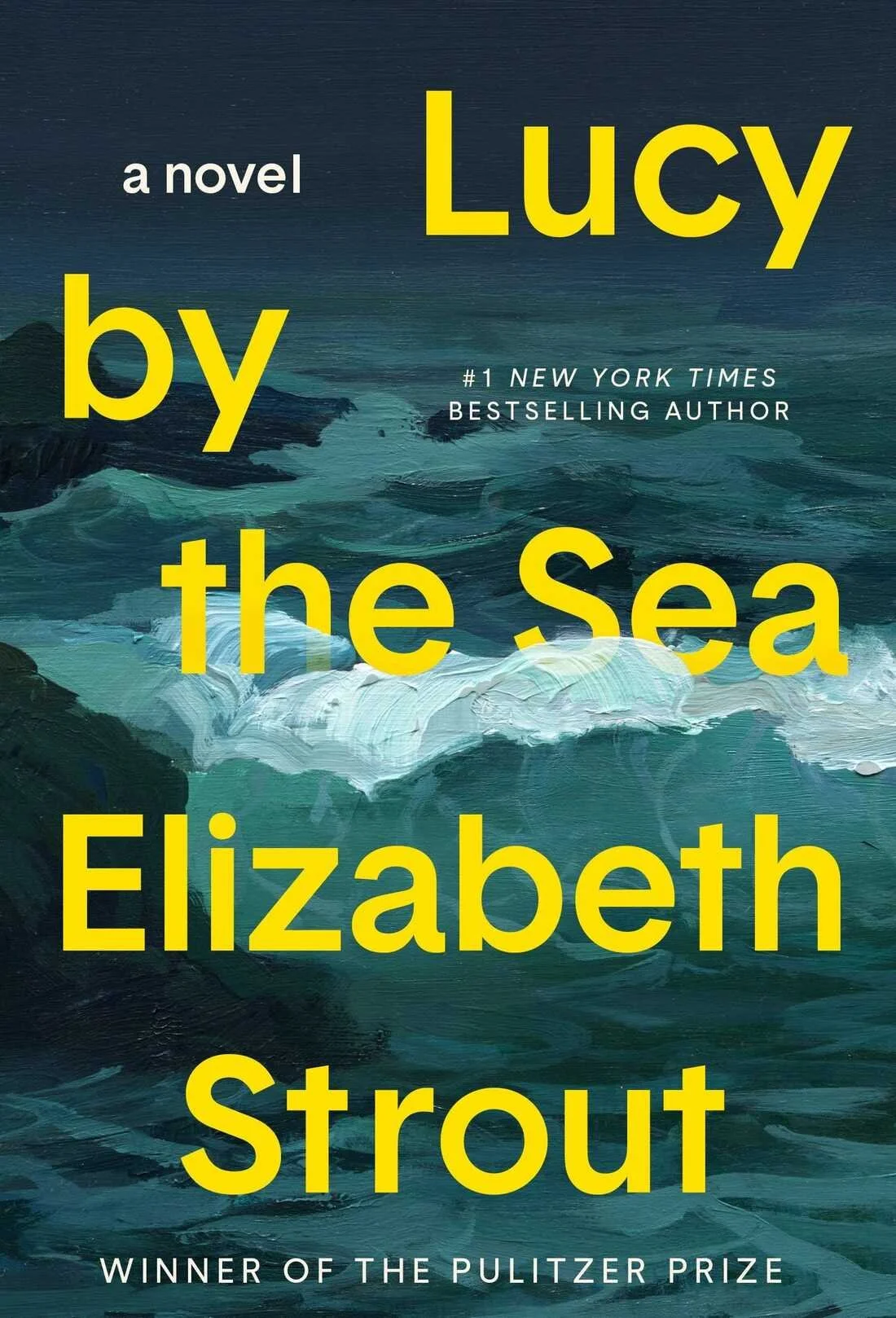 Lucy by the Sea by Elizabeth Strout .jpeg