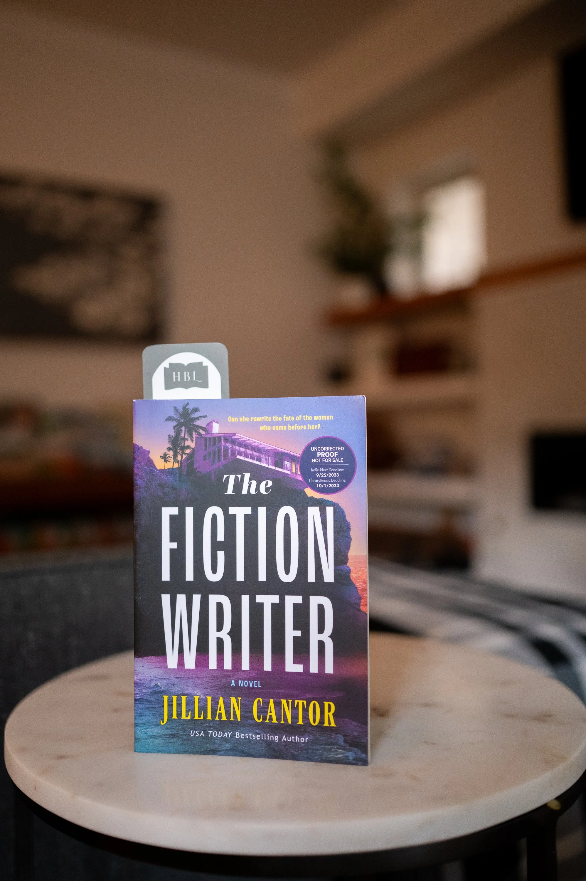 The Fiction Writer by Jillian Cantor.jpg