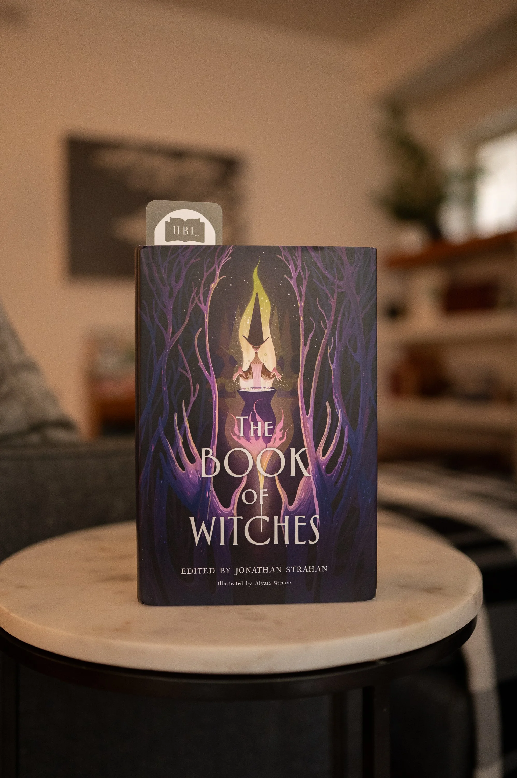 The Book of Witches
