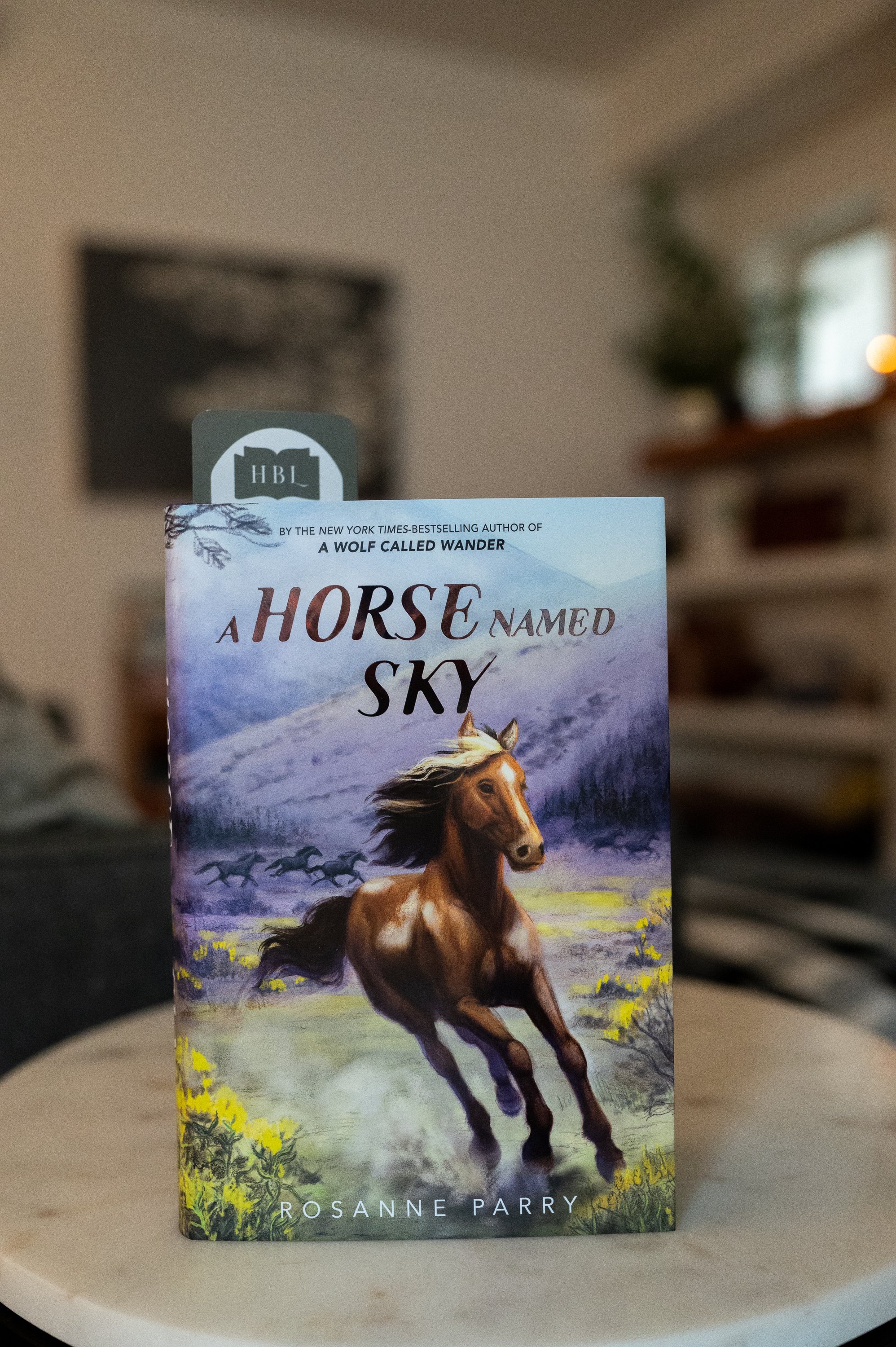 A Harse Named Sky by Rosanne Parry.jpg