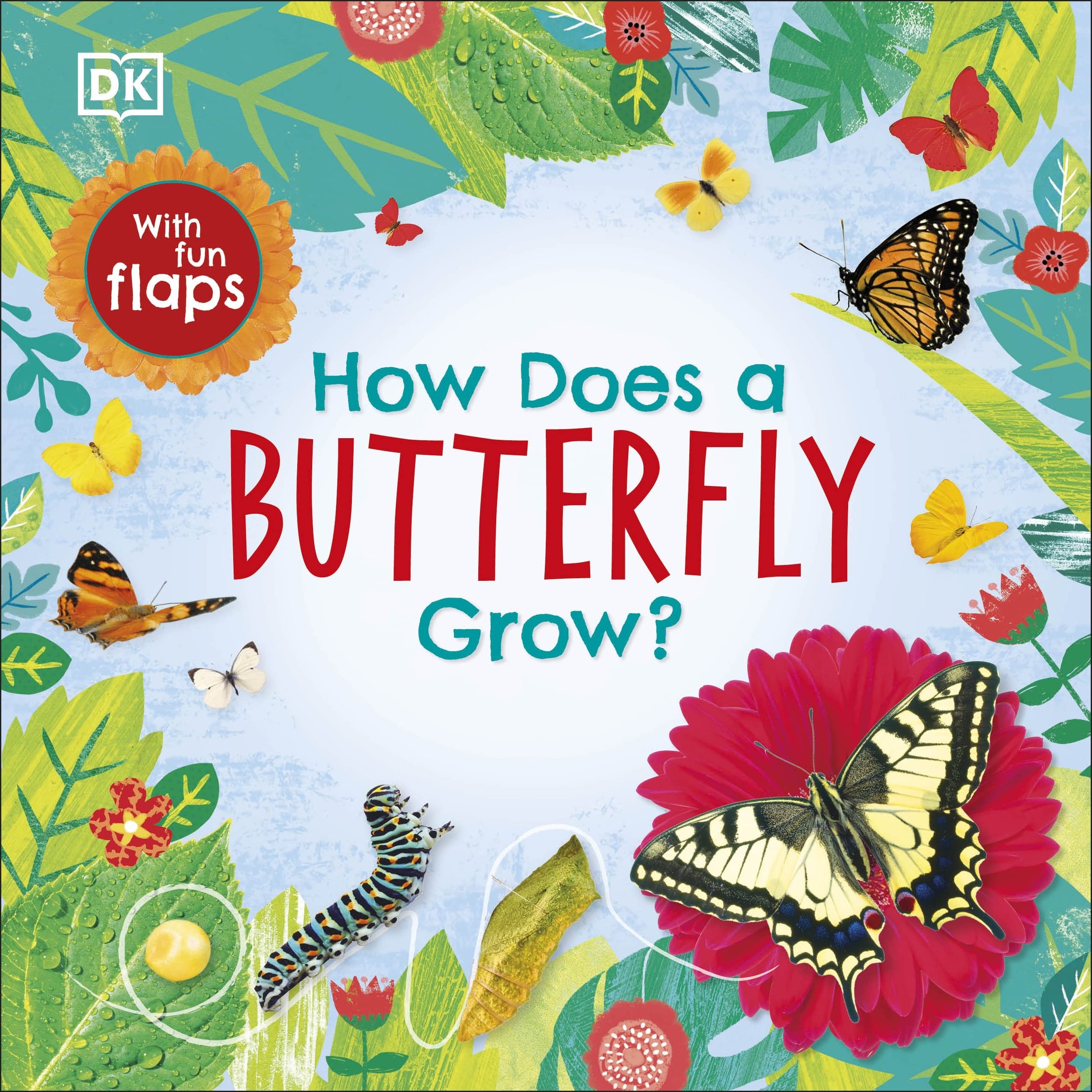 How Does a Butterfly Grow?.jpeg