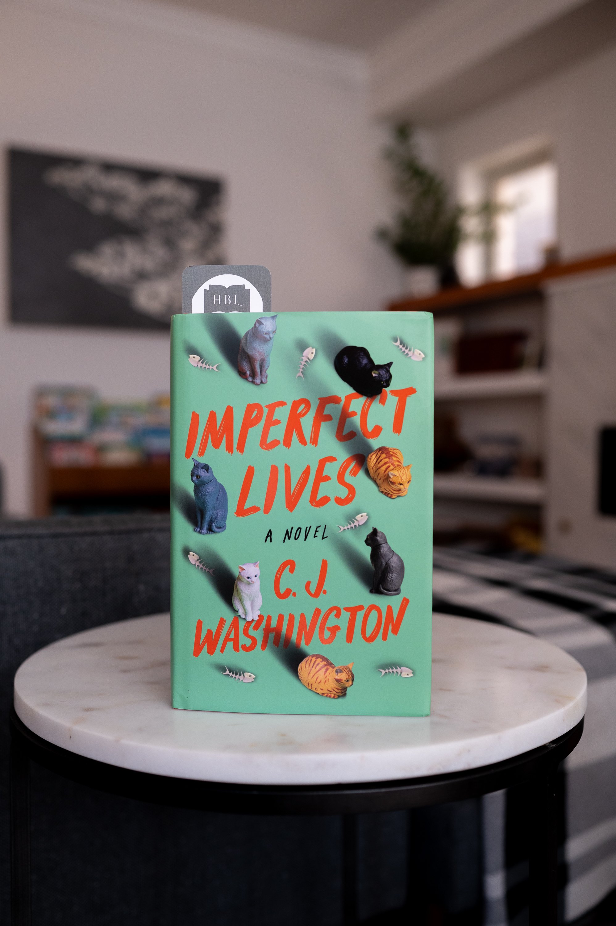 Imperfect Lives by C. J. Washington.jpg
