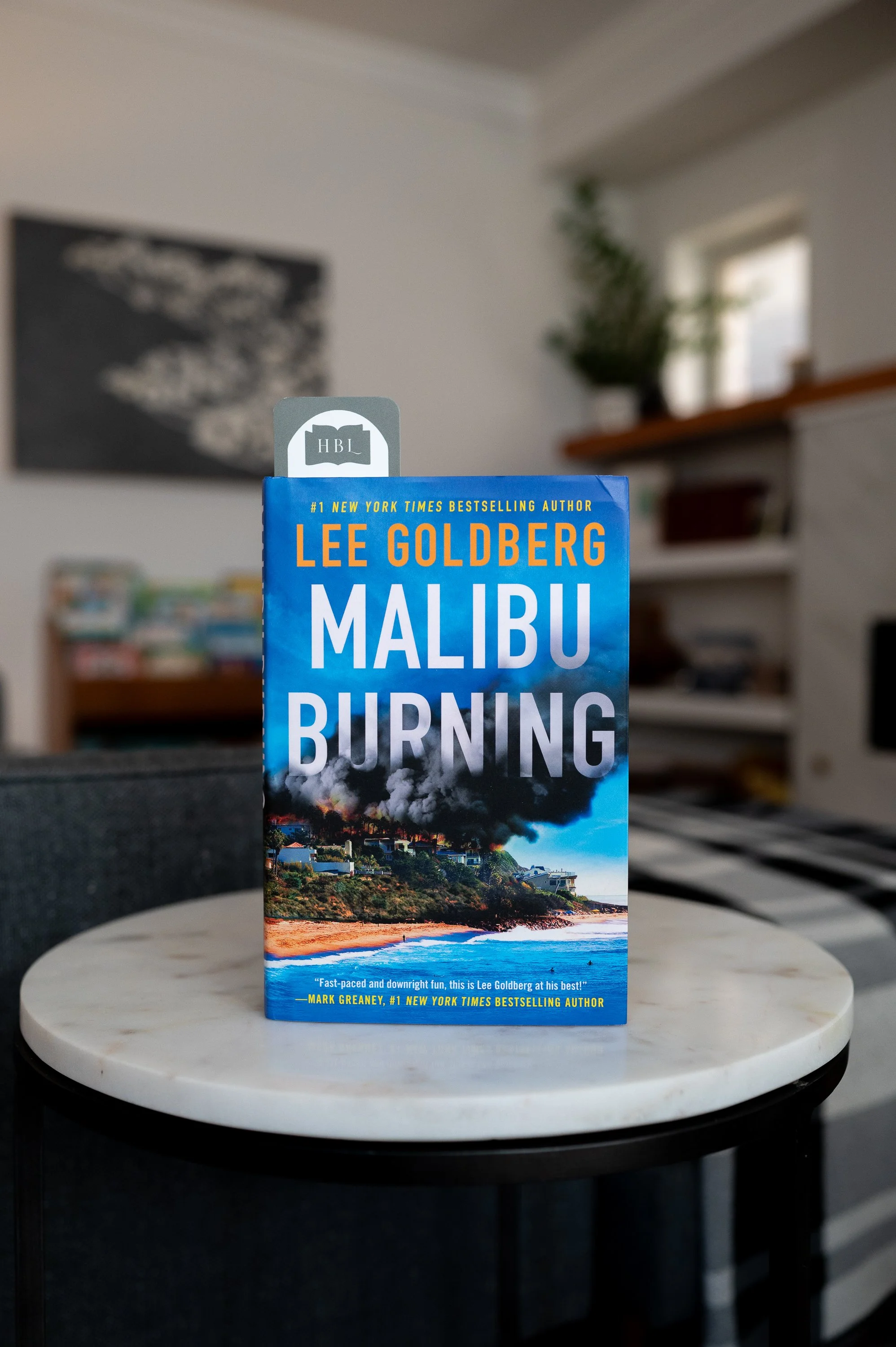 Malibu Burning by Lee Goldberg-2.jpg