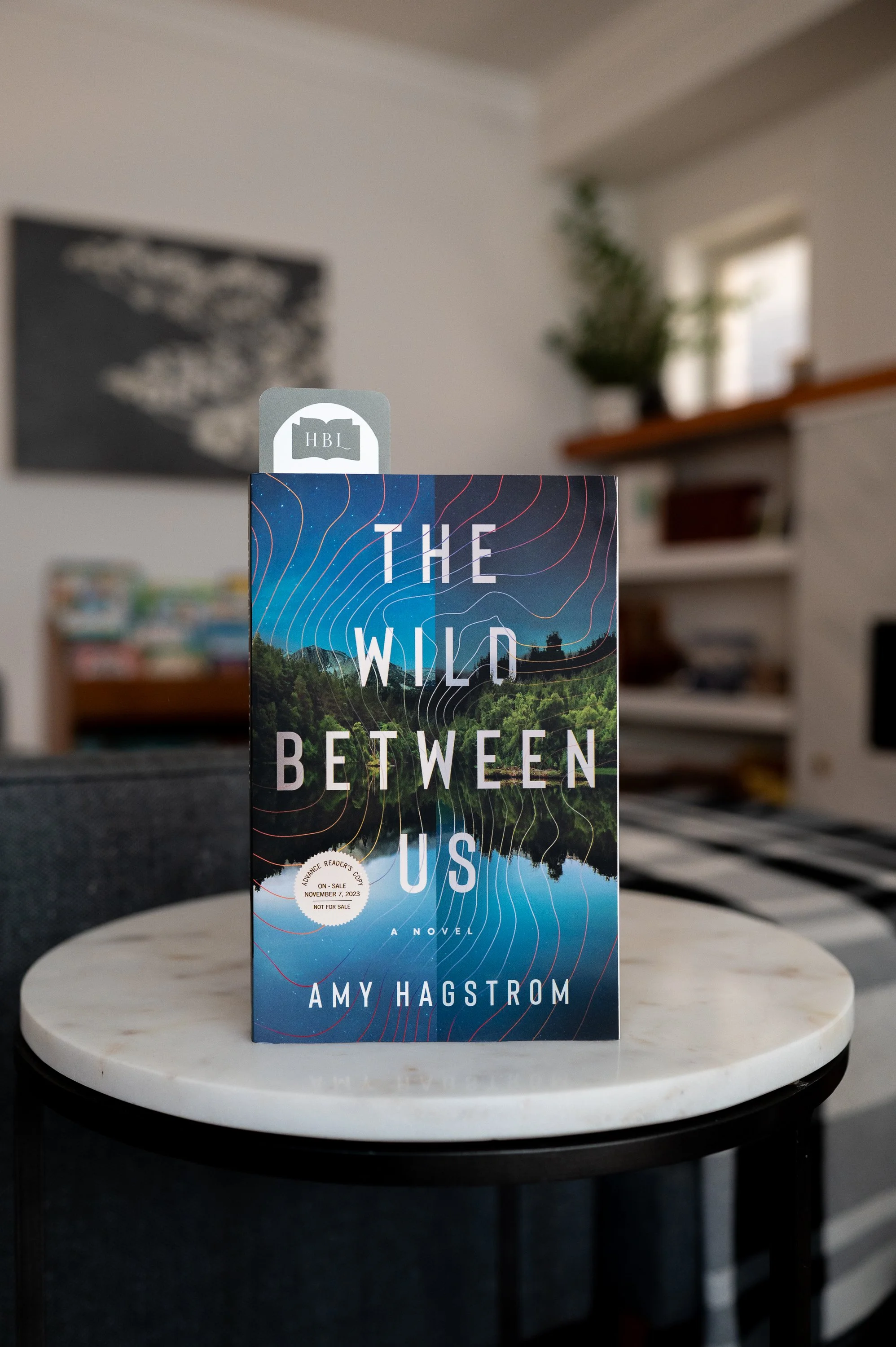 The Wild Between Us by Amy Hagstrom.jpg