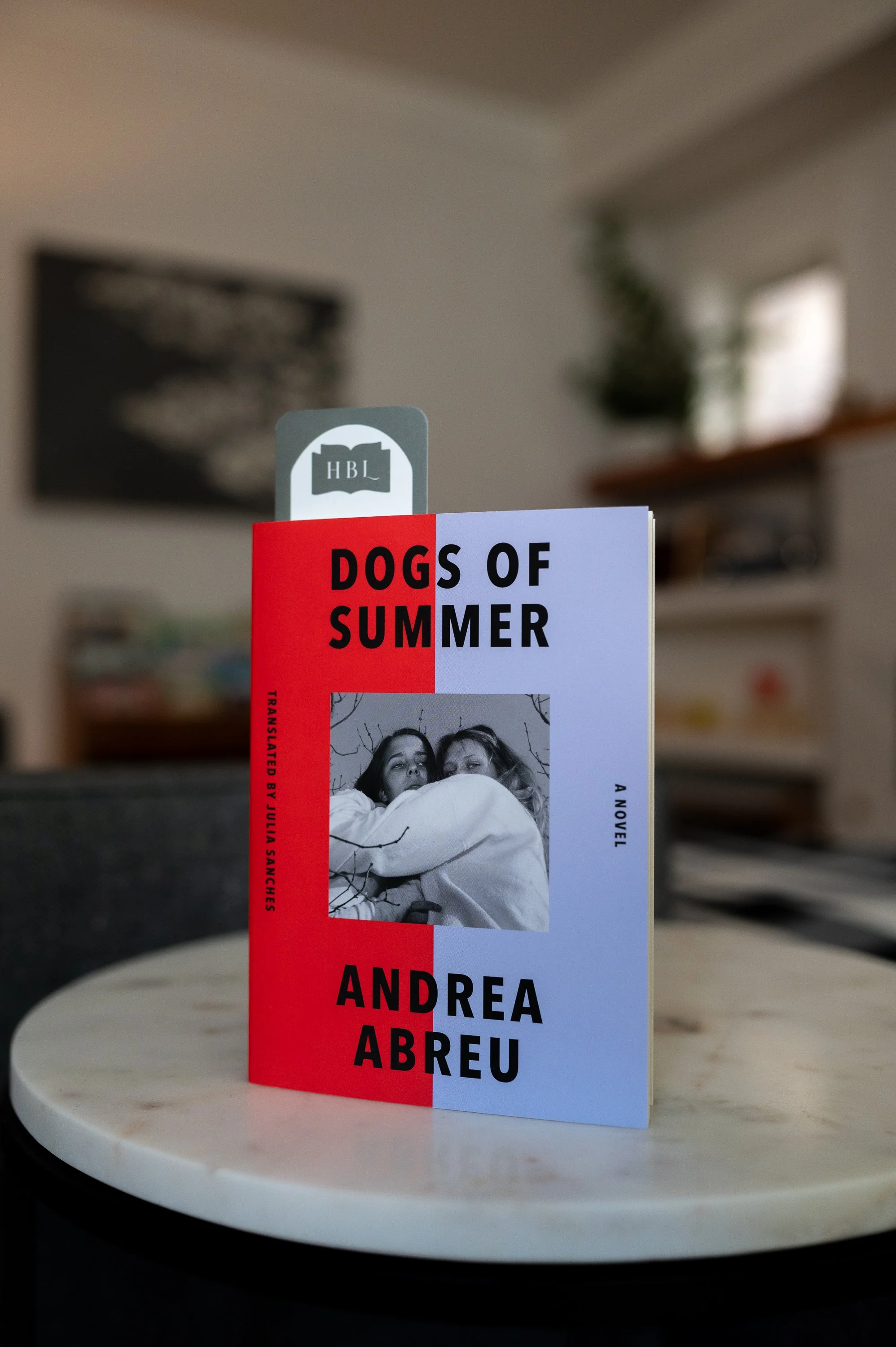 Dogs of Summer by Andrea Abreu.jpg