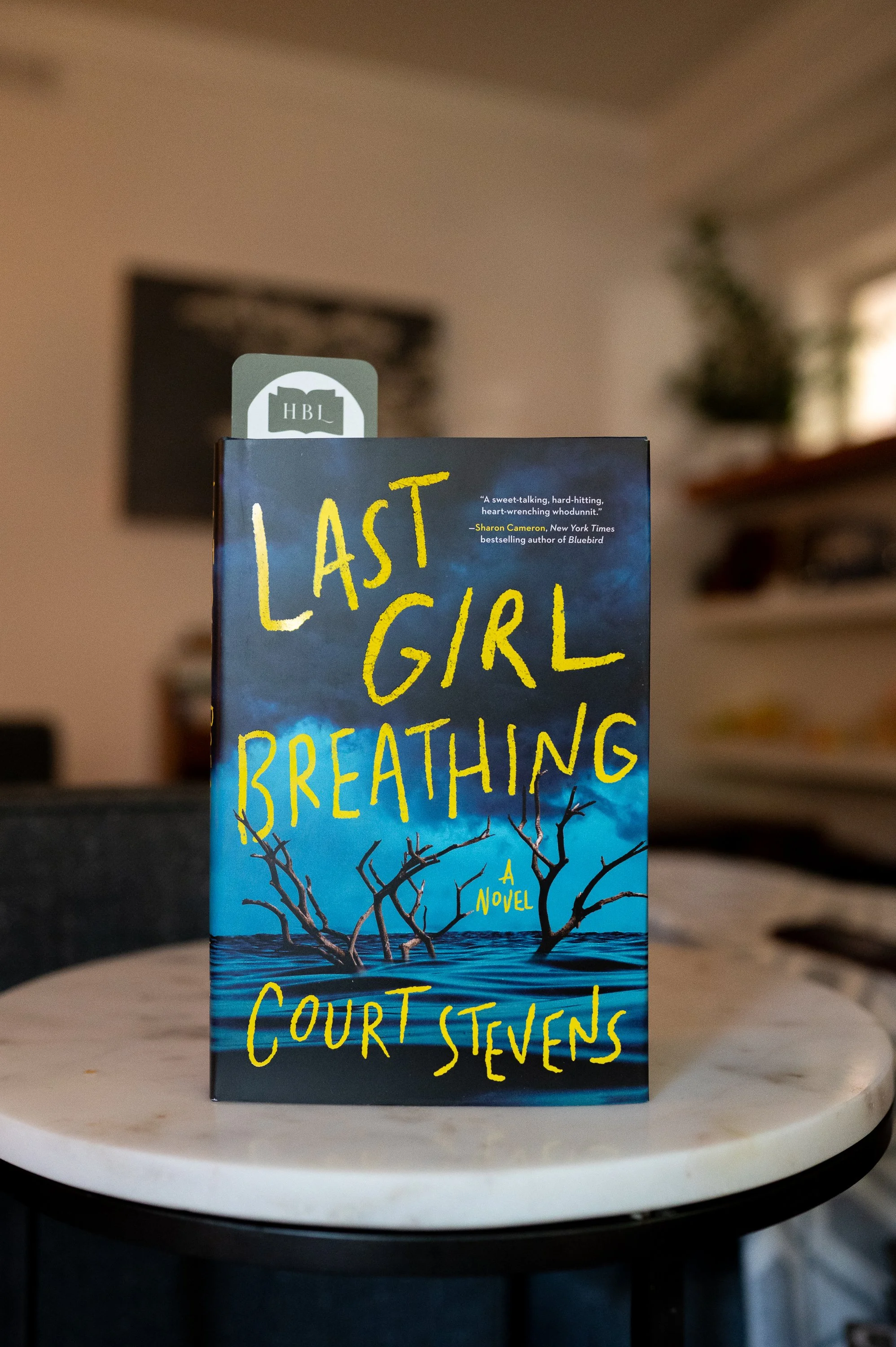 Last Girl Breathing by Court Stevens.jpg
