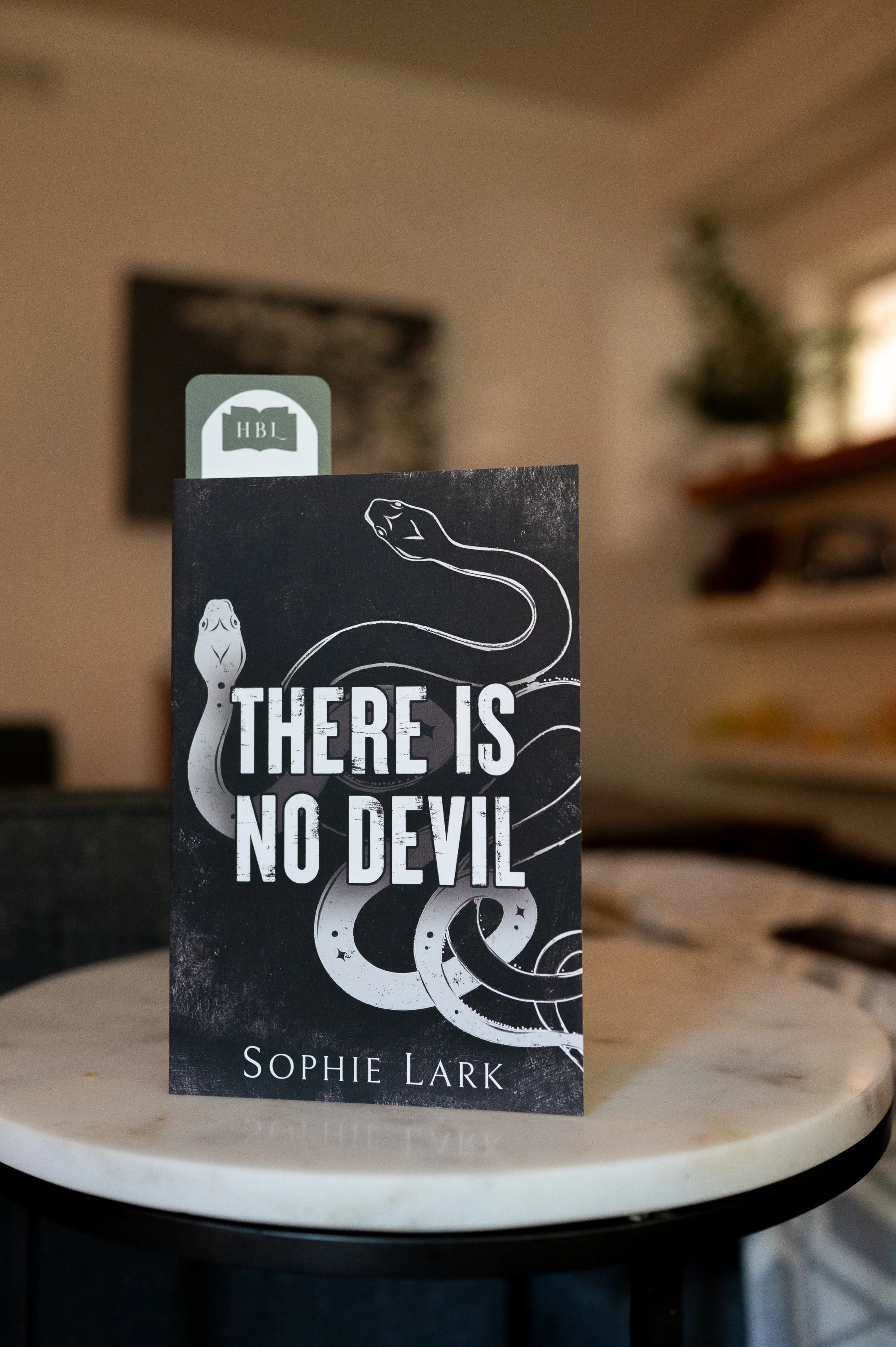 There is No Evil by Sophie Lark.jpg