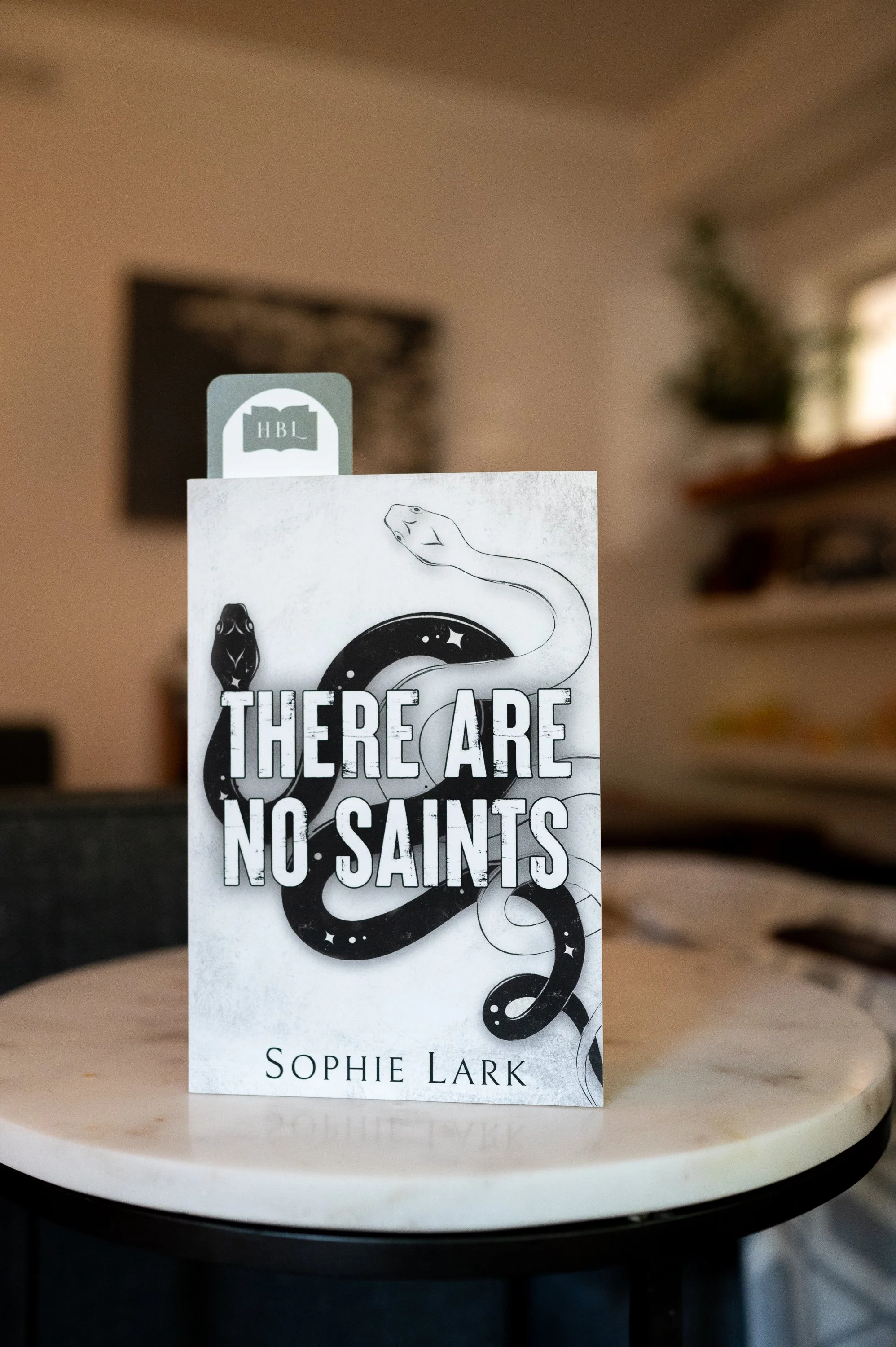 There are no Saints by Sophie Lark.jpg
