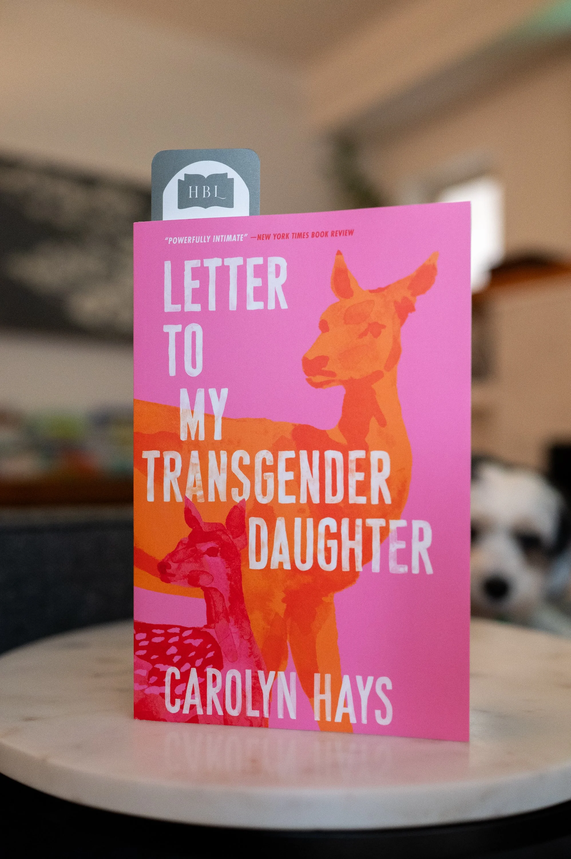Letter to my Transgender Daughter by Carolyn Hays