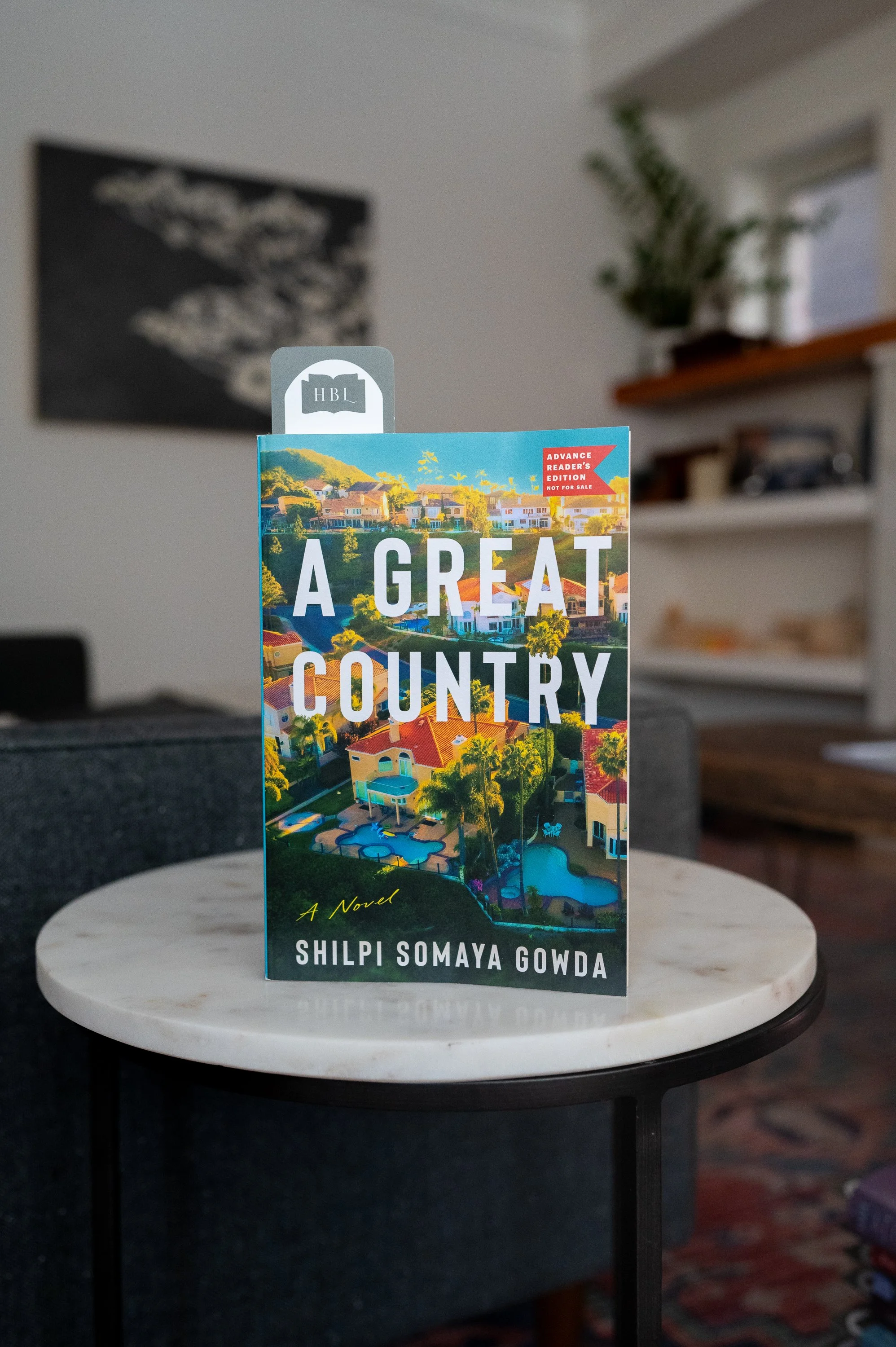 A Great Country by Shilpi Somaya Gowda.jpg