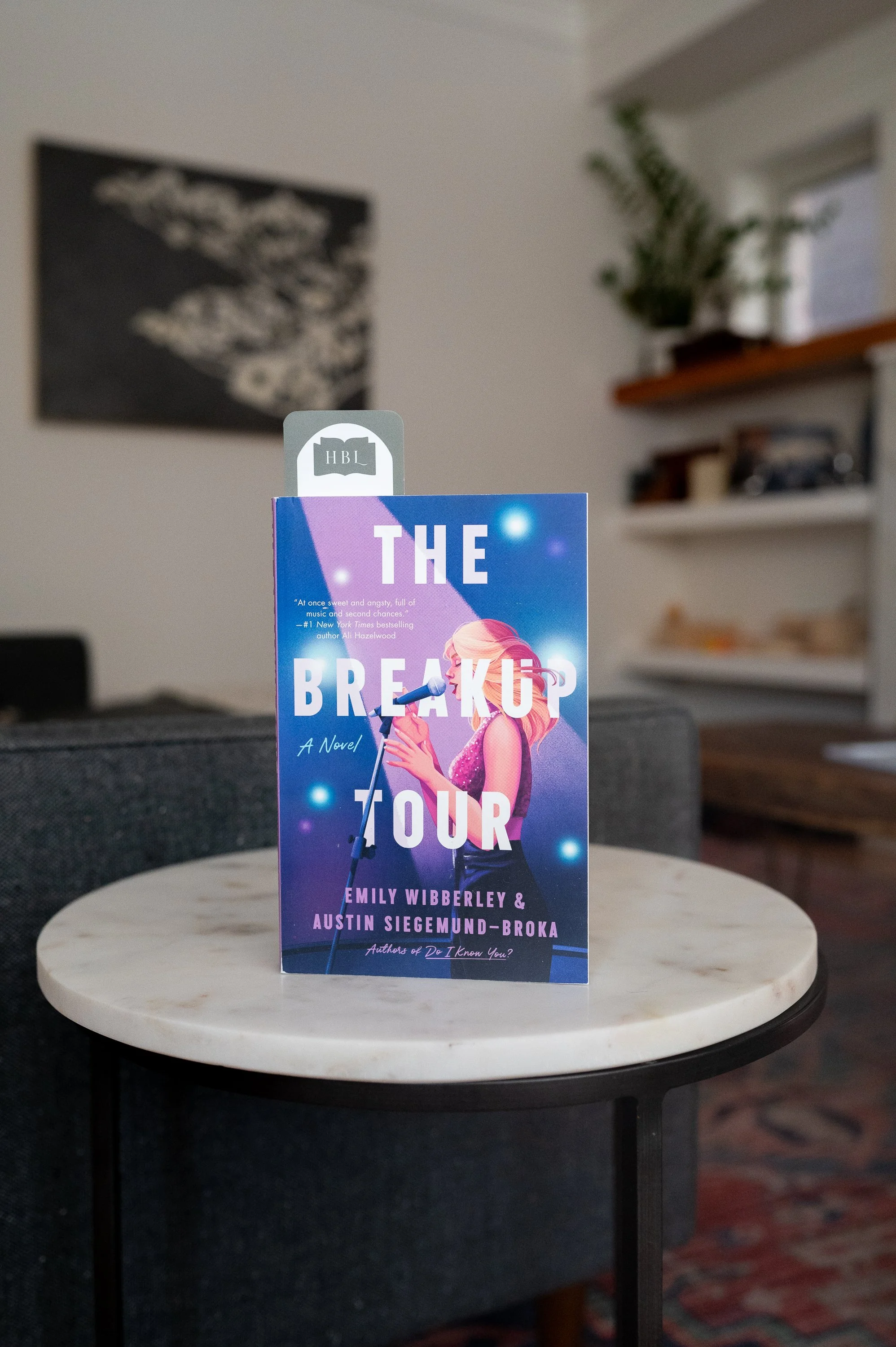 The Breakup Tour by Emily Wibberley and Austin Siegemund-Broka.jpg