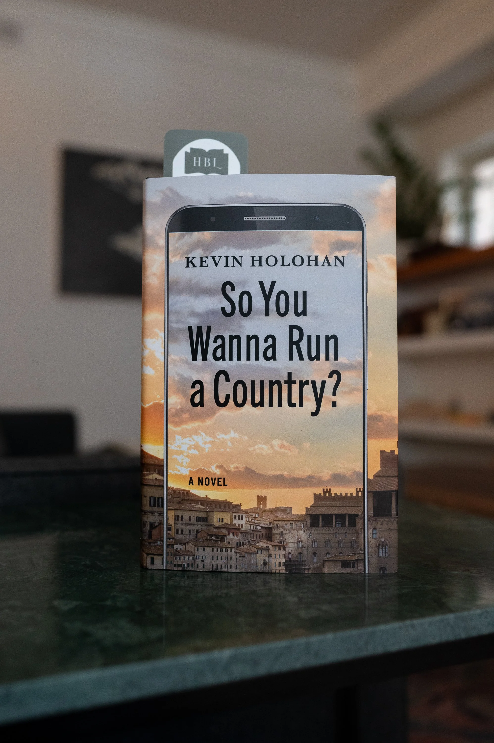 So You Wanna Run a Country by Kevin Holohan.jpg