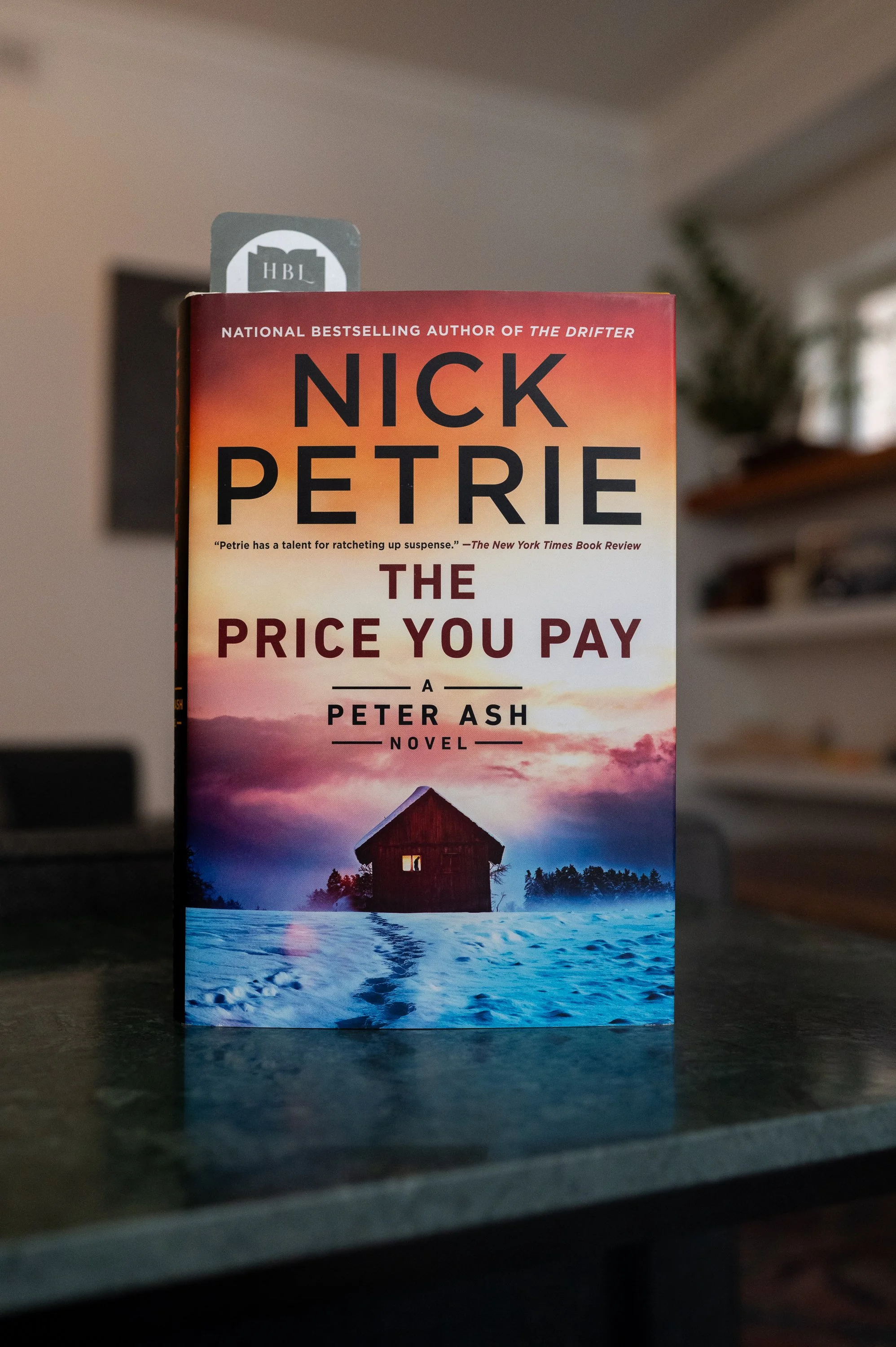 The Price You Pay by Nick Petrie.jpg