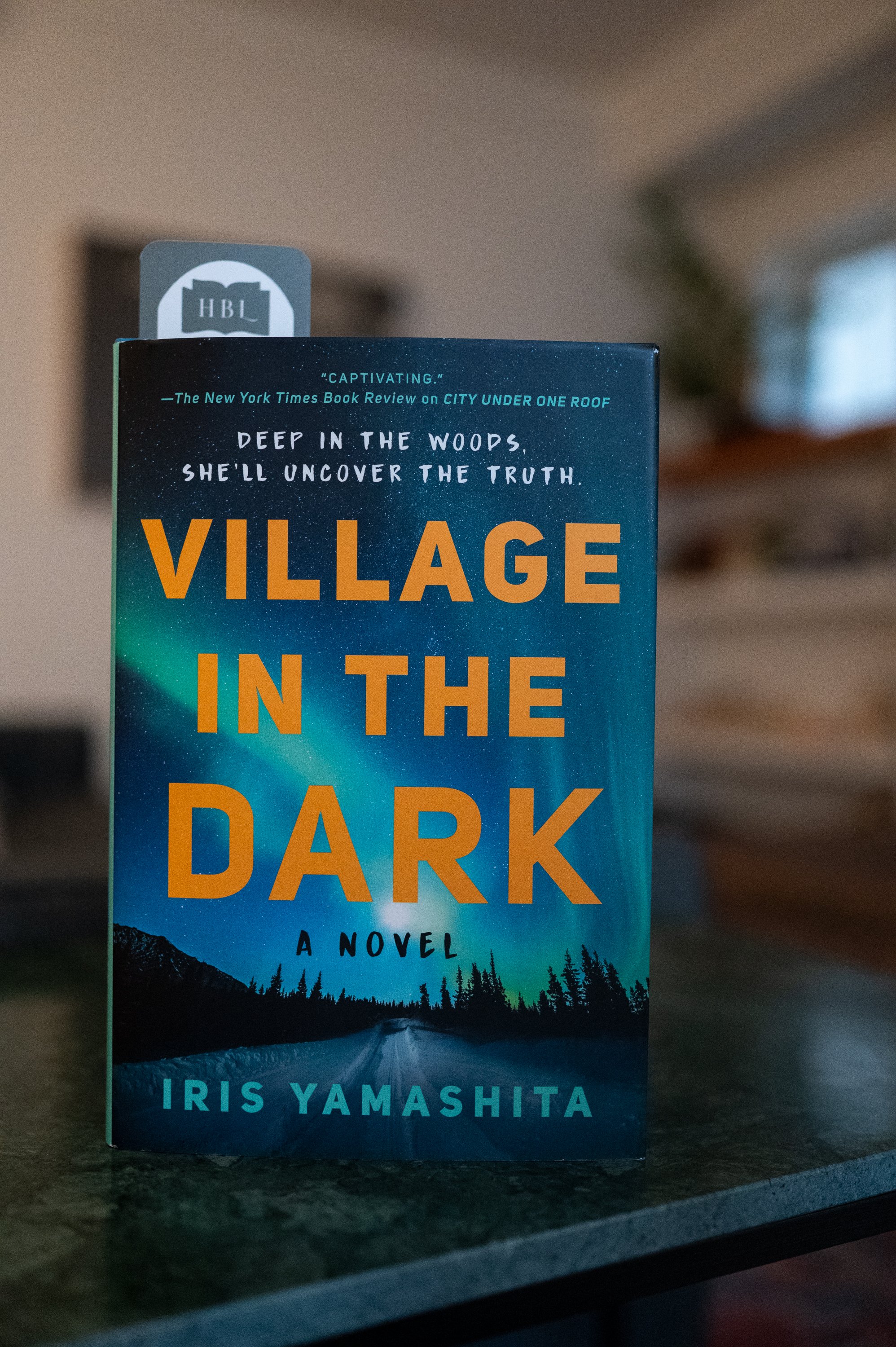 Village in the Dark by Iris Yamashita-2.jpg