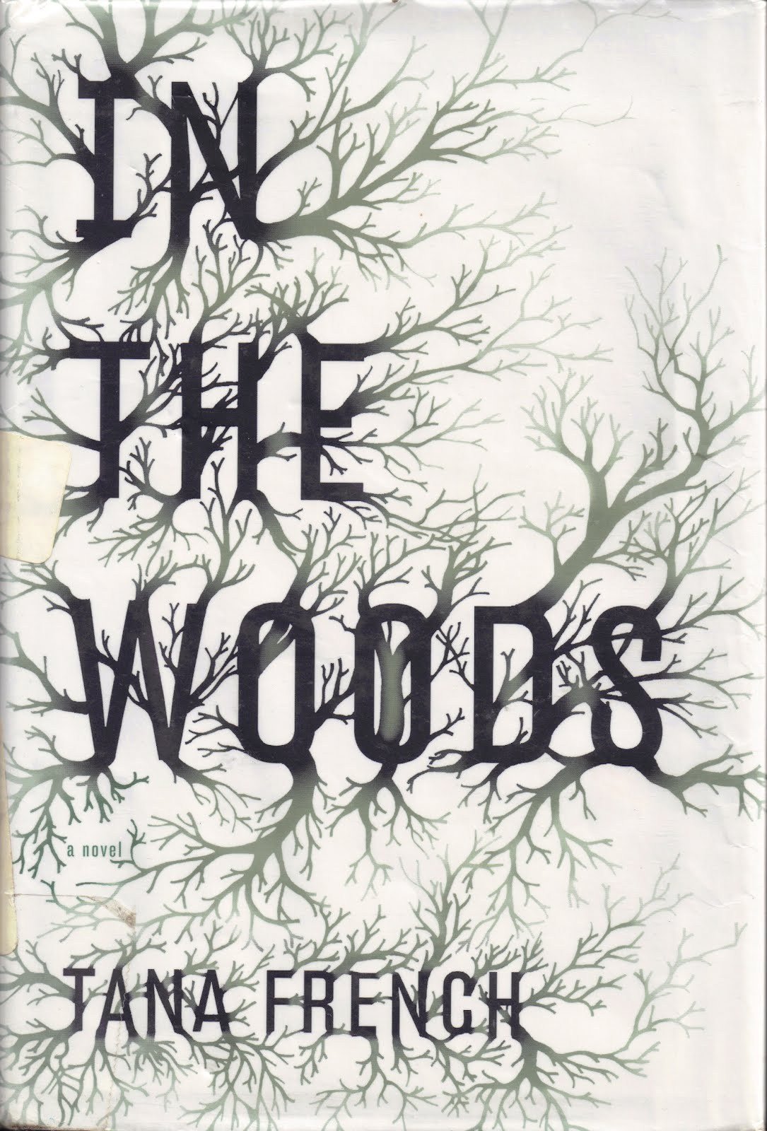 in the woods by tana french.jpg