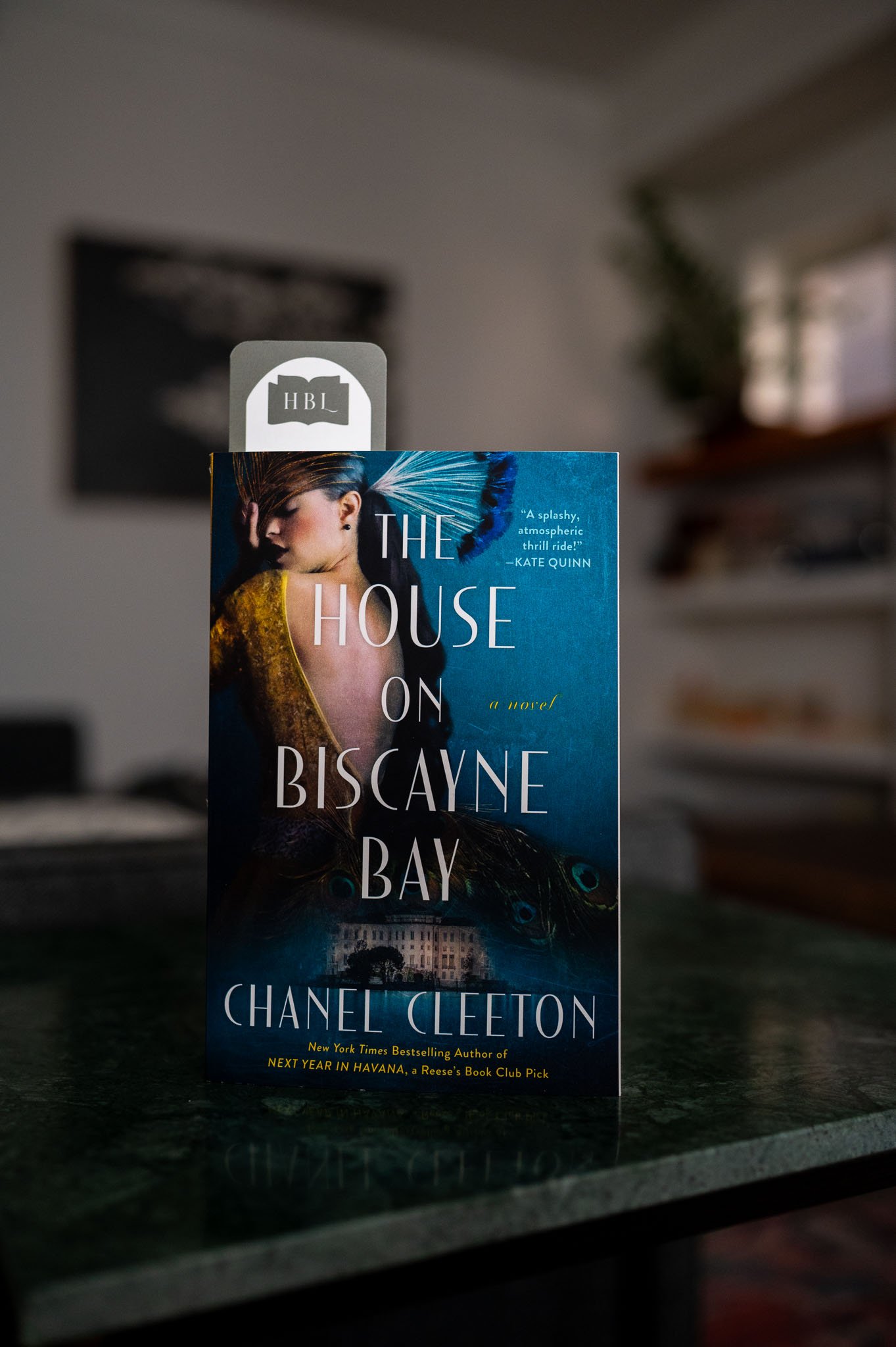 The House on Biscayne Bay by Chanel Cleeton.jpg