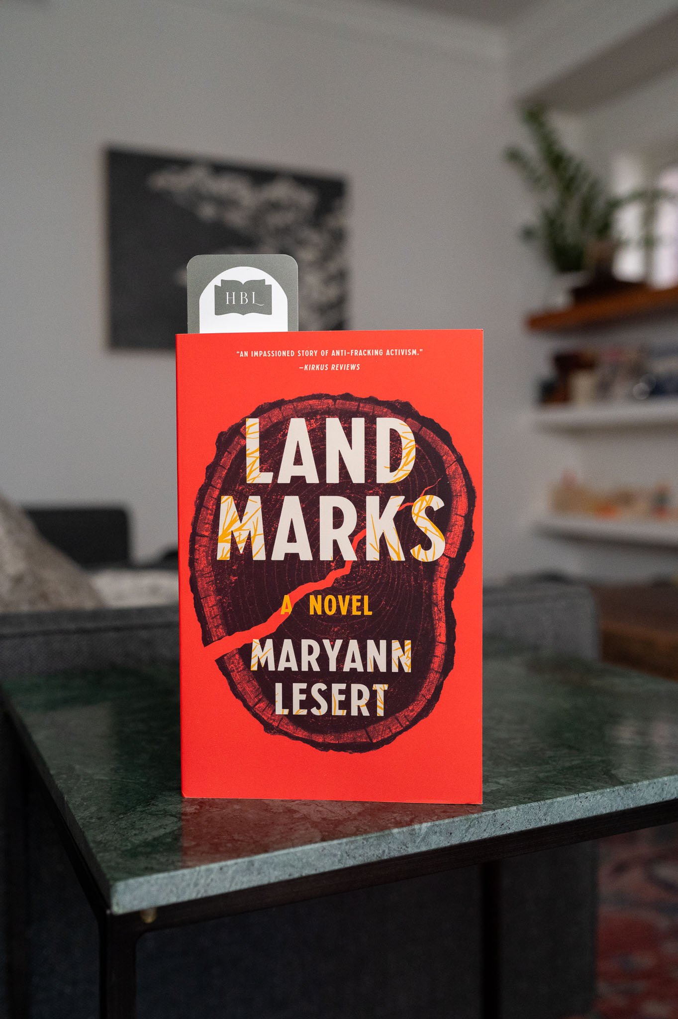 Land Marks by Maryann Lesert.jpg
