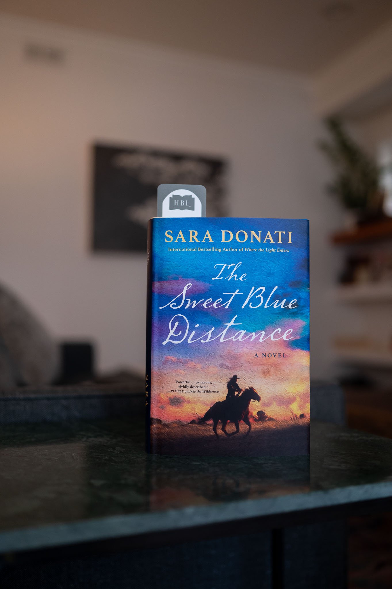 The Sweet Blue Distance by Sara Donati.jpg
