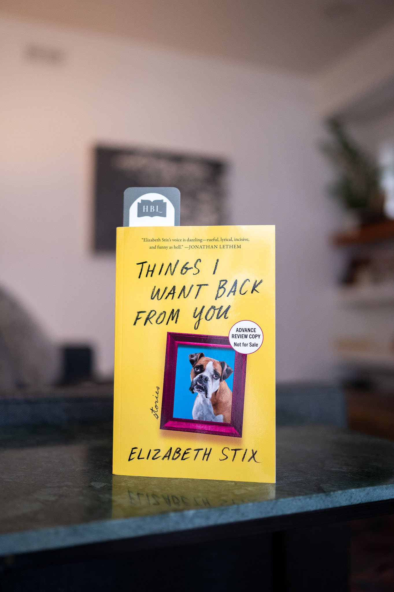 Things I Want Back From You by Elizabeth Stix.jpg