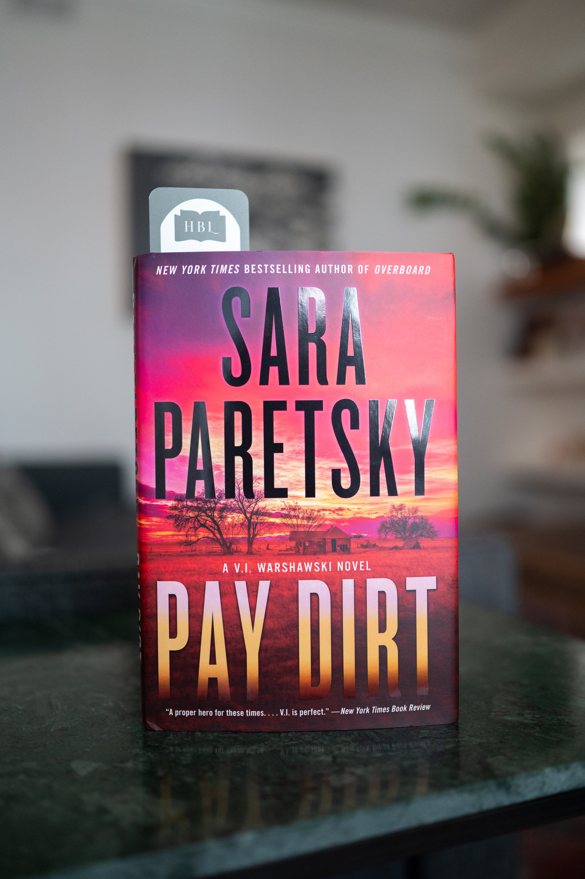Pay Dirt by Sara Paretsky.jpg