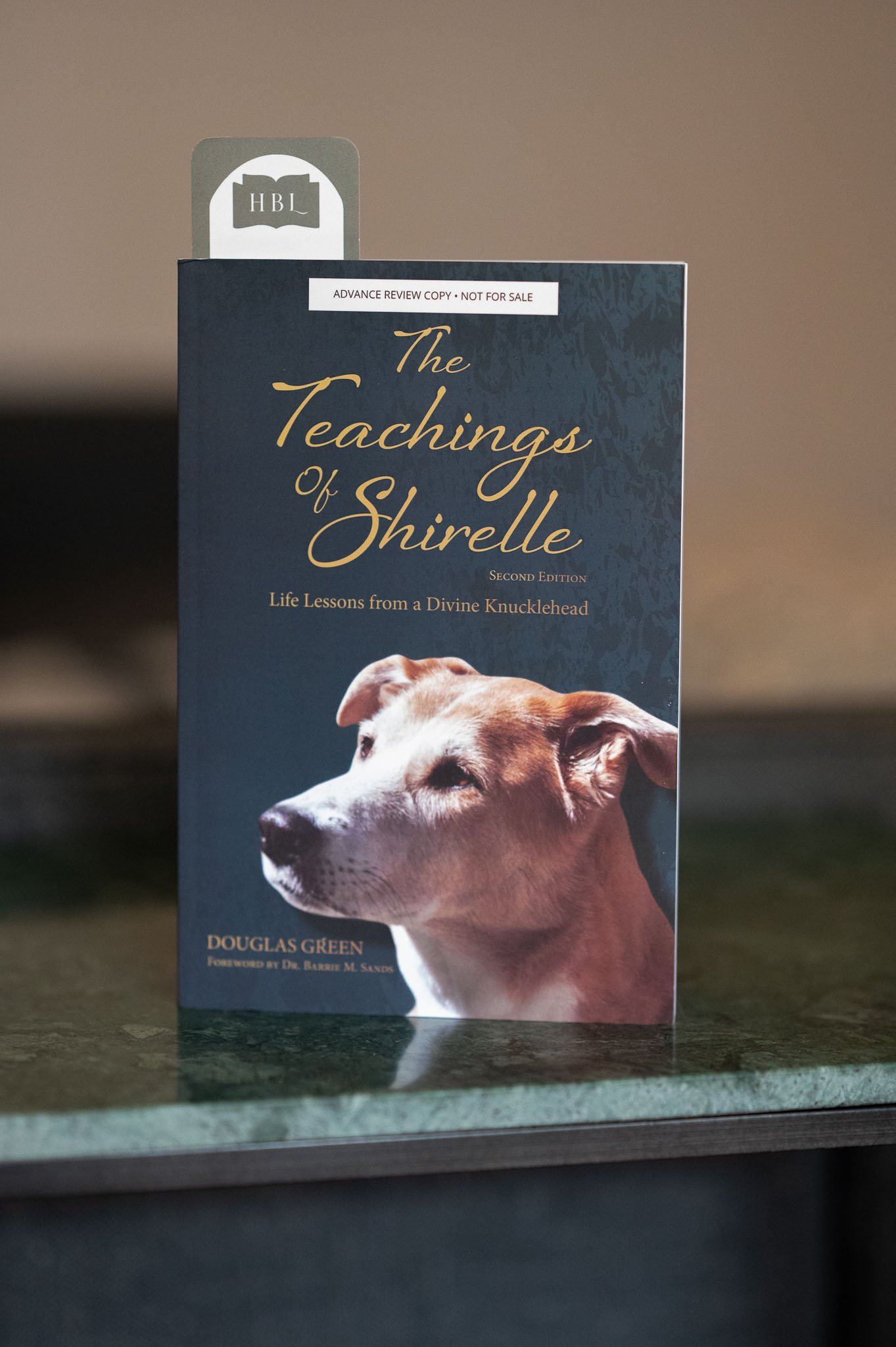 The Teachings of Shirelle by Douglas Green.jpg