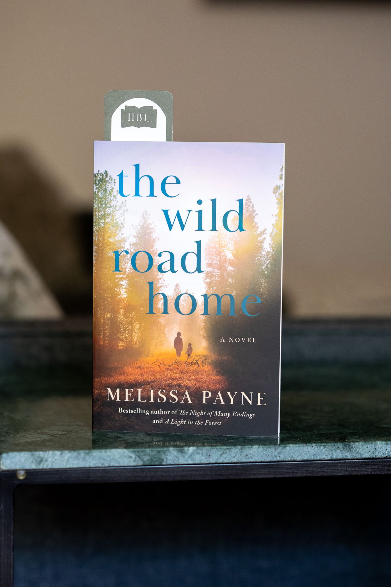 The Wild Road Home by Melissa Payne.jpg